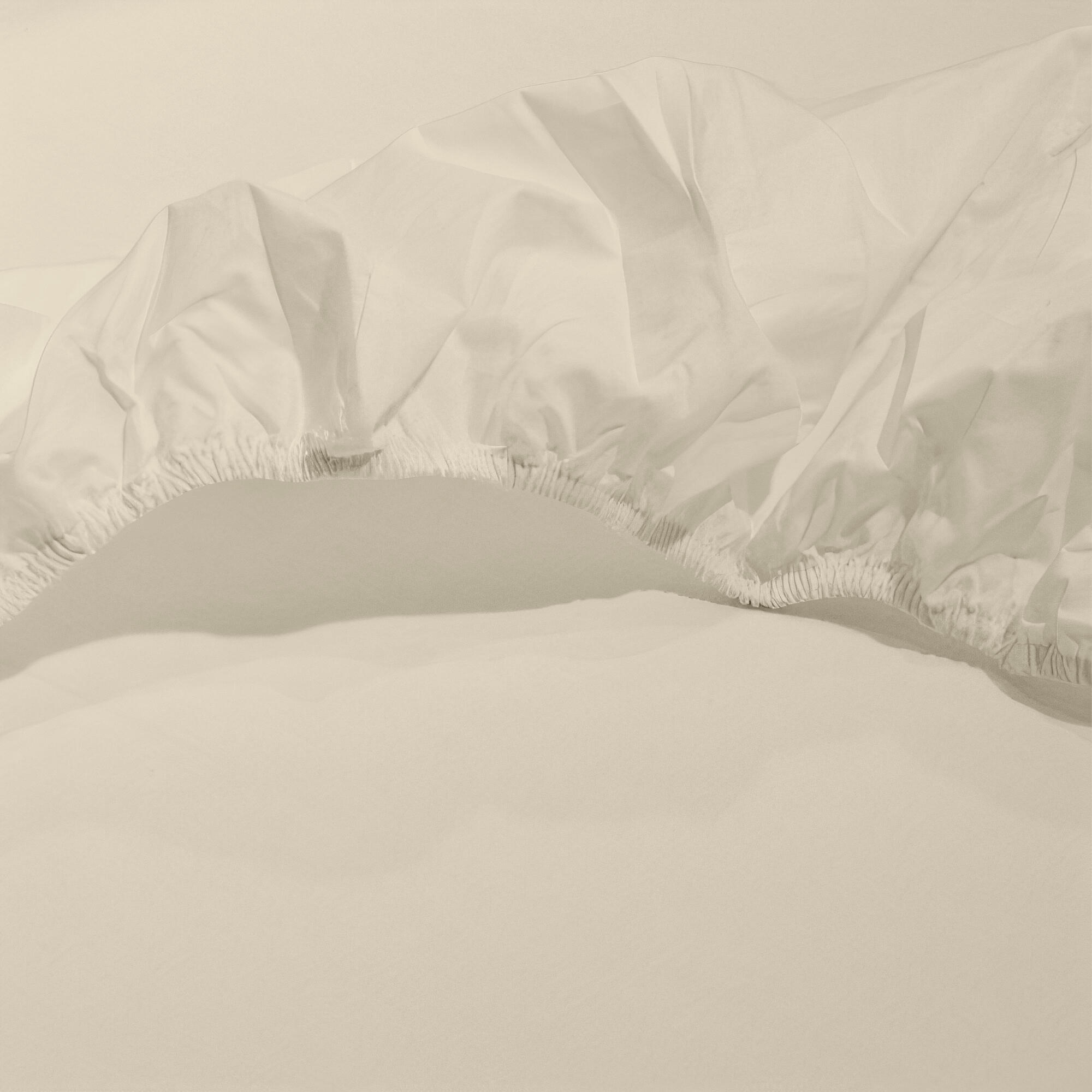 Sábana bajera con elástico algodón egipcio 300 hilos Bordón marfil 180x200 para cama de 180 cm - 13