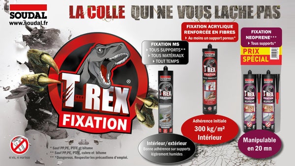 Colle T-Rex : la colle qui ne vous lâche pas! 