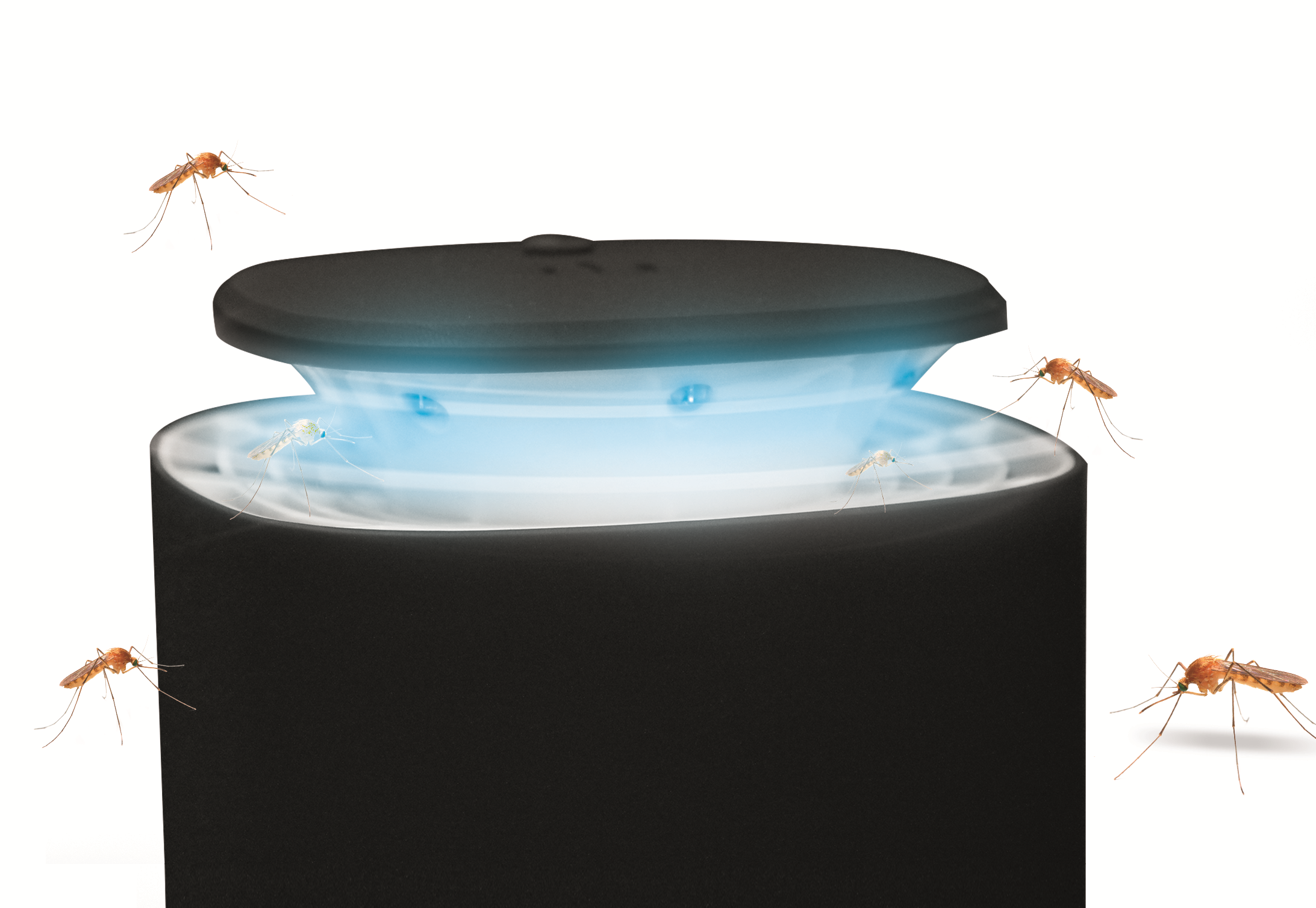 Lâmpada anti-mosquitos STARLYF UV INSECT STOPPER - 4