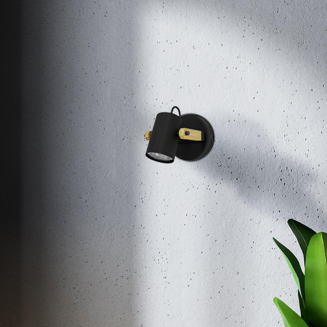 Spot Hornwood, acier noir, GU10, EGLO - 5