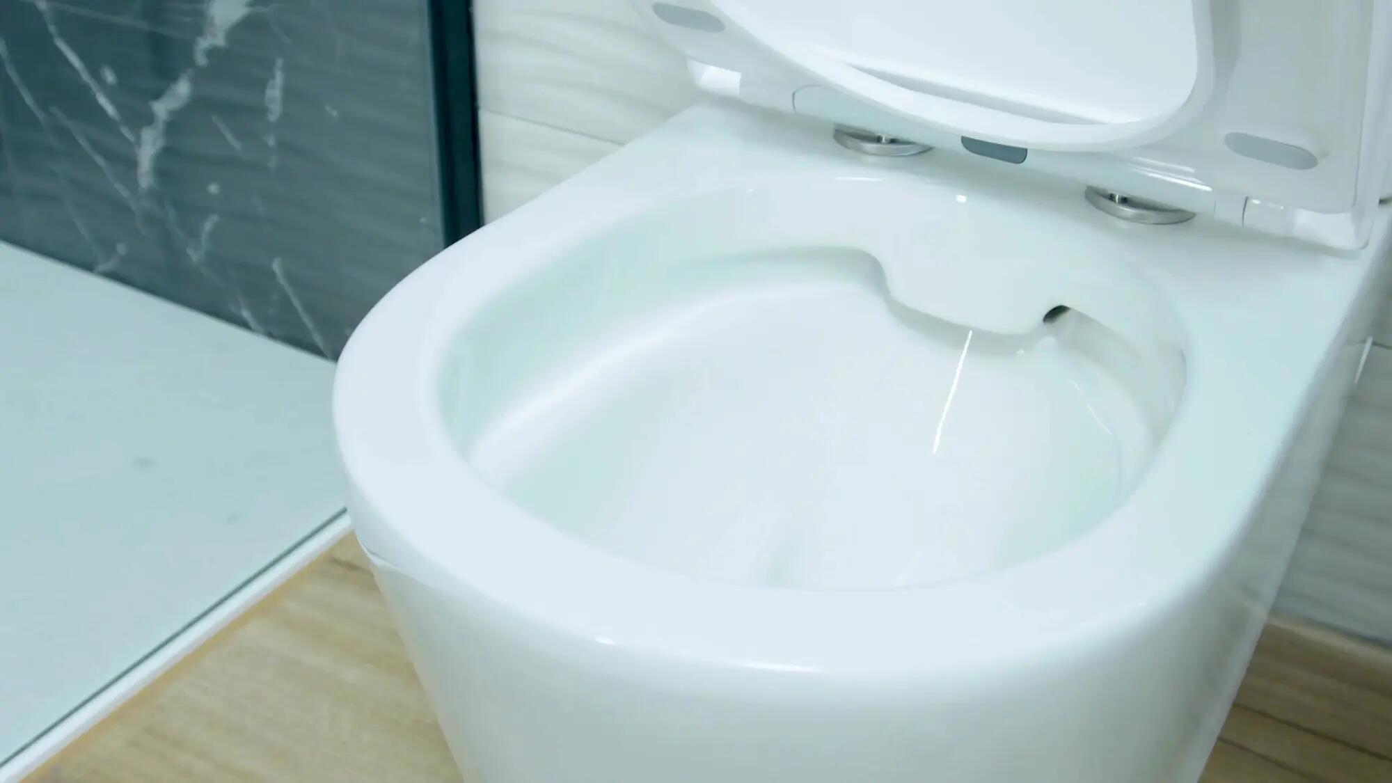 Pack WC SENSEA Neo con tapa amortiguada blanco - 5