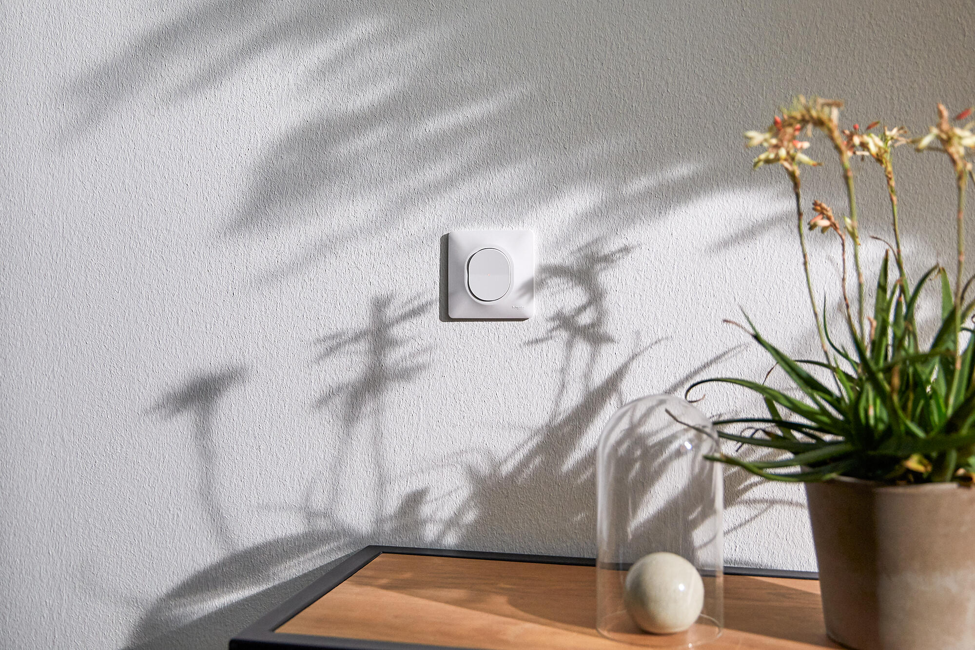 Poussoir complet Ovalis, SCHNEIDER ELECTRIC, blanc - 4