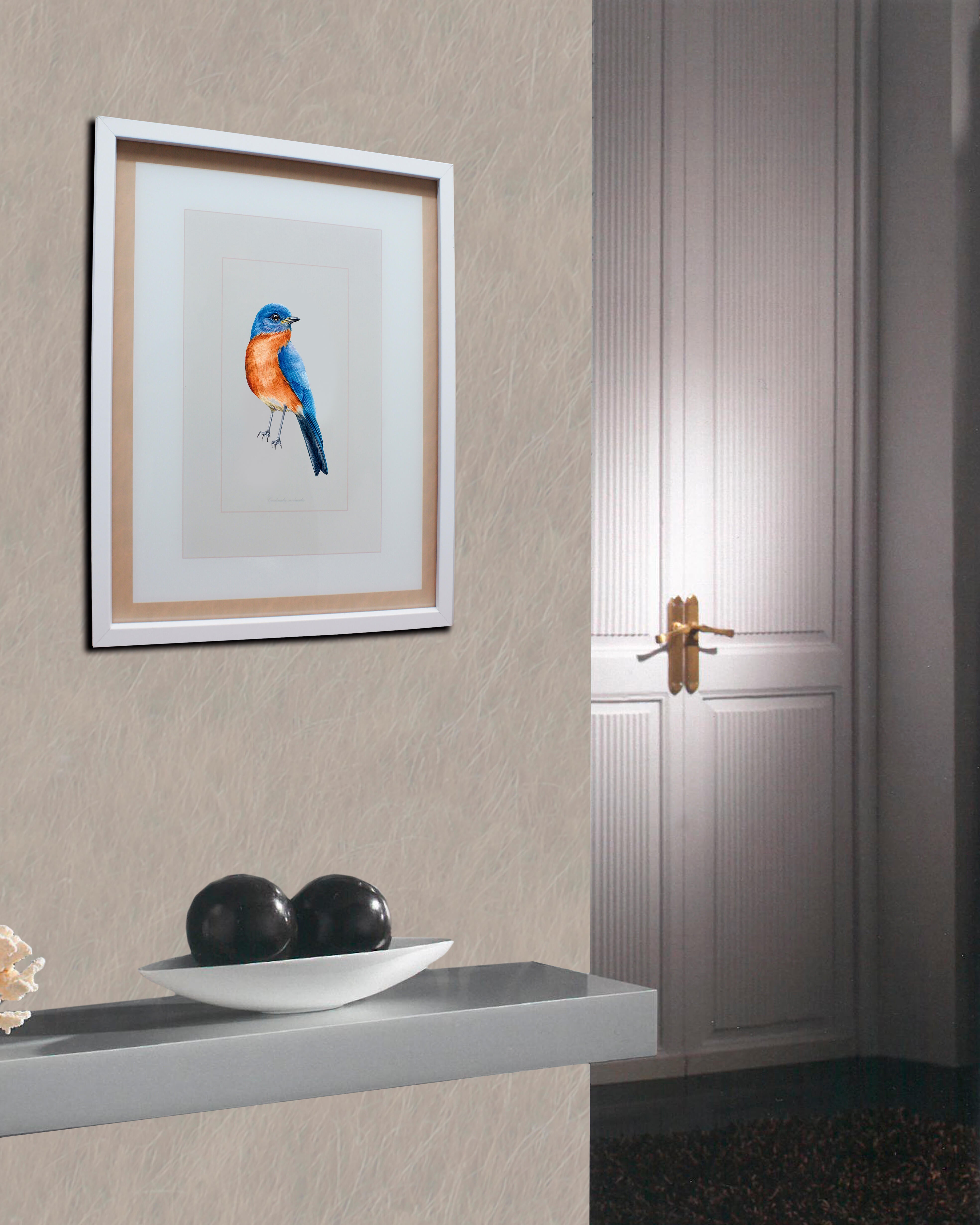 Cuadro pájaro azul 30 cm x 40 cm