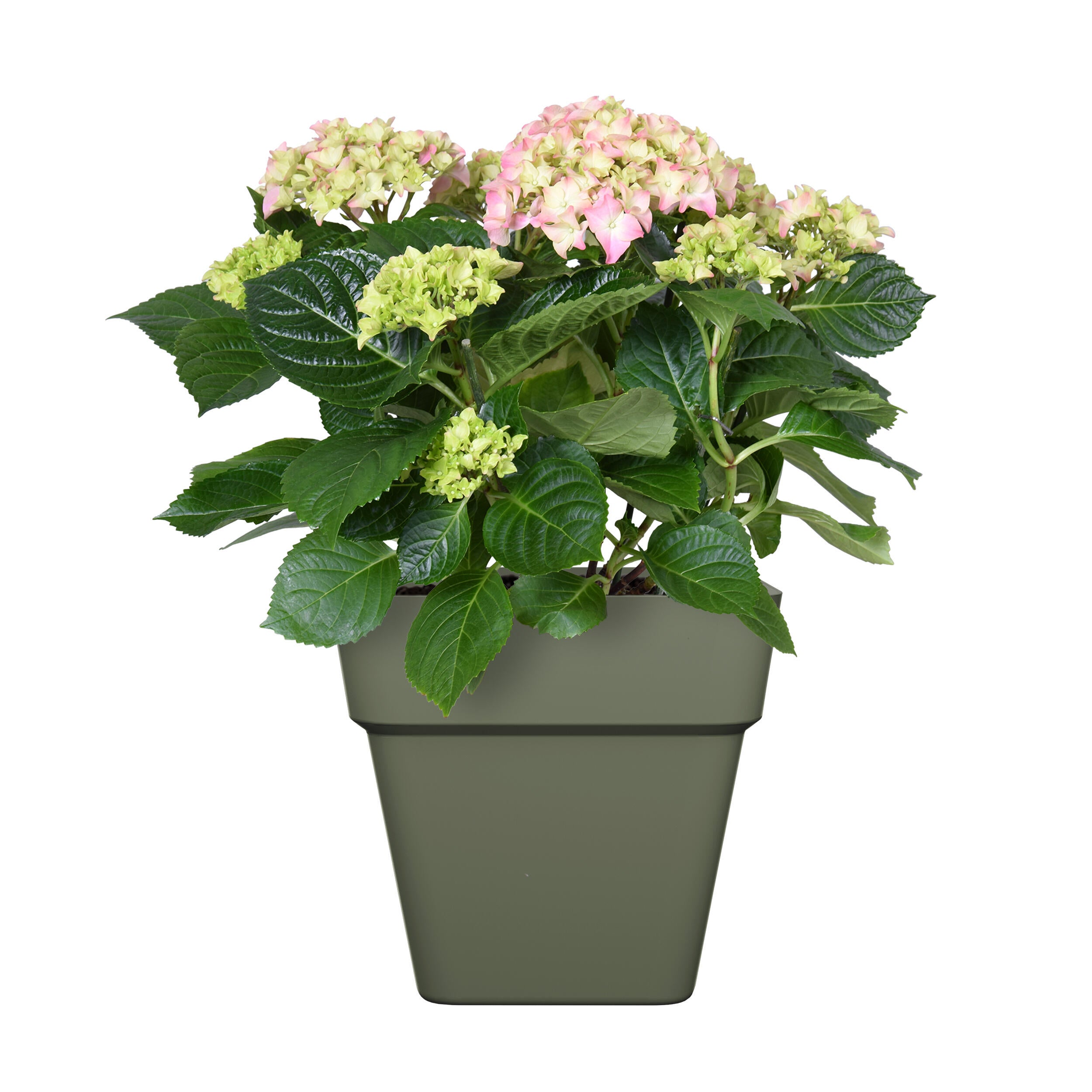 Pot de fleur carré NATERIAL L. 29.5 x l. 29.5  x H.28 cm vert olive - 3