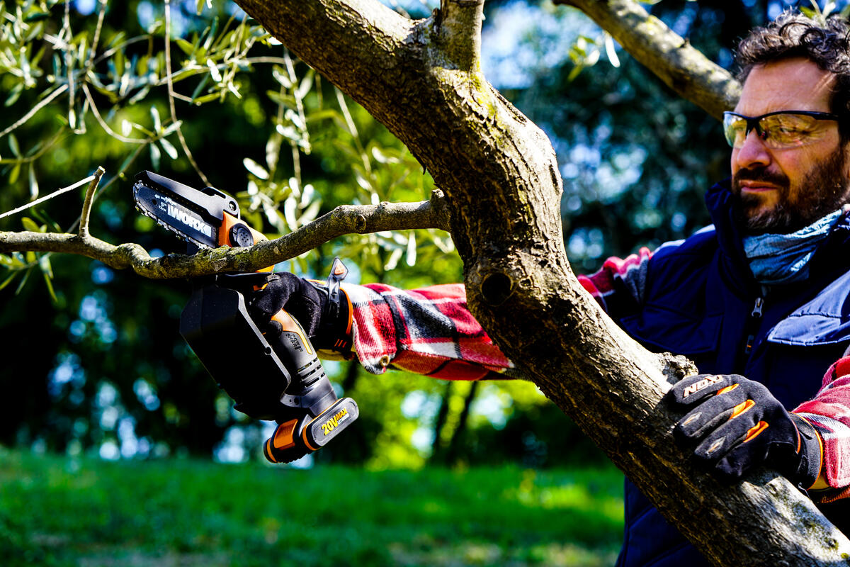 Chaîne d'élagueuse / mini tronçonneuse WORX - WA0142 (pour WG324E et WP342E) - 3