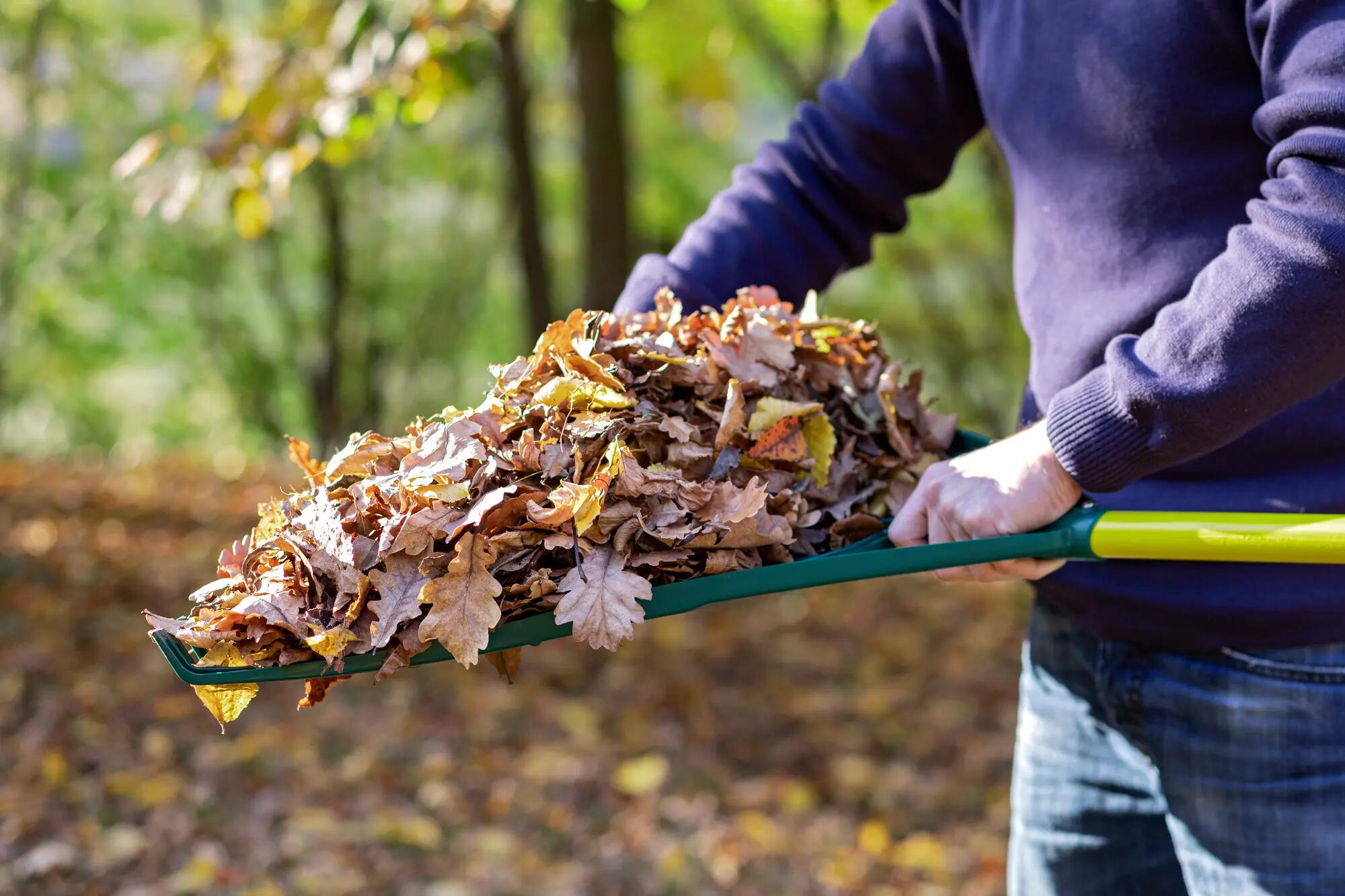Balai à feuilles LEBORGNE L.130 cm - 7