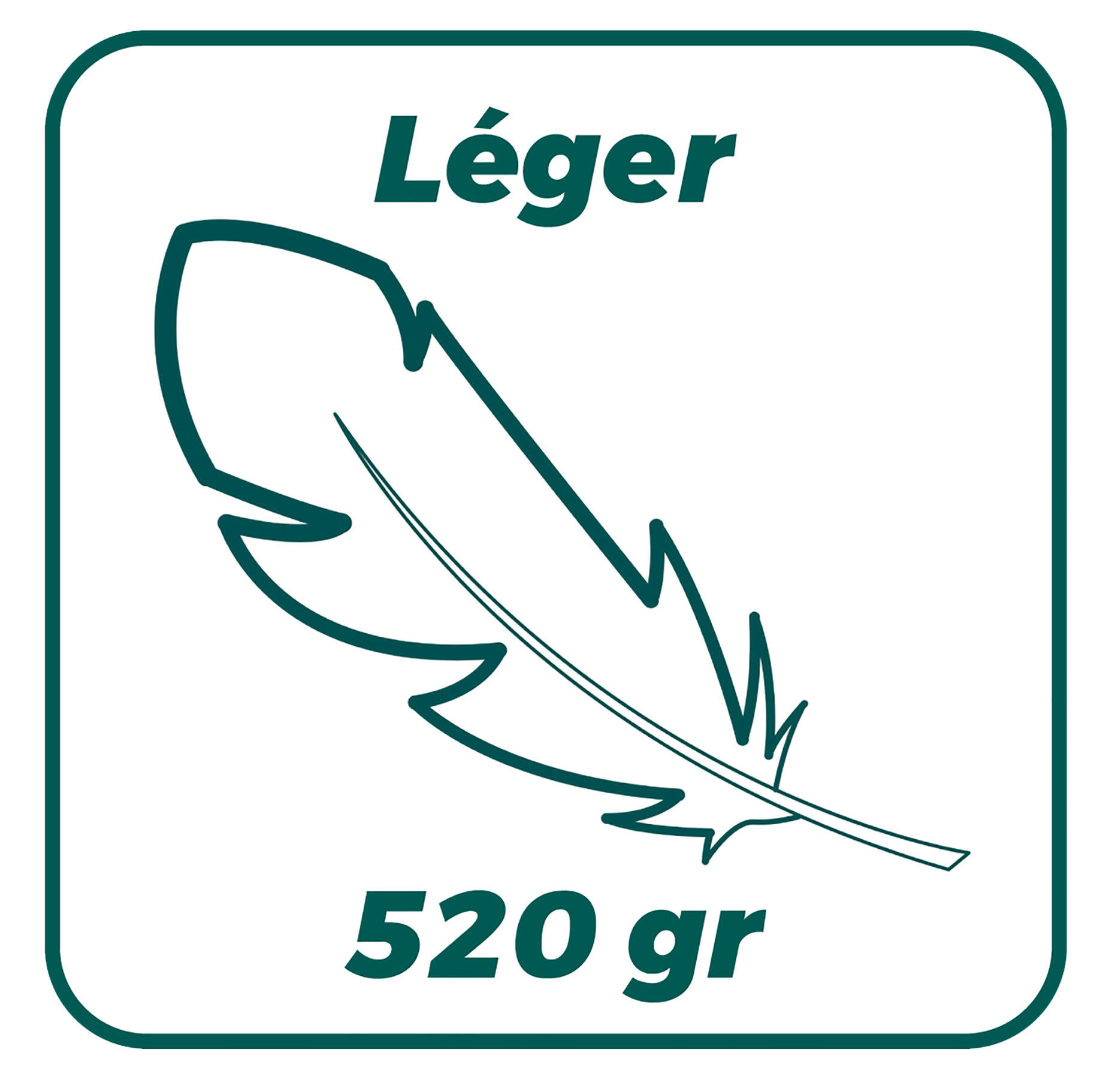 Balai à feuilles LEBORGNE L.130 cm - 8