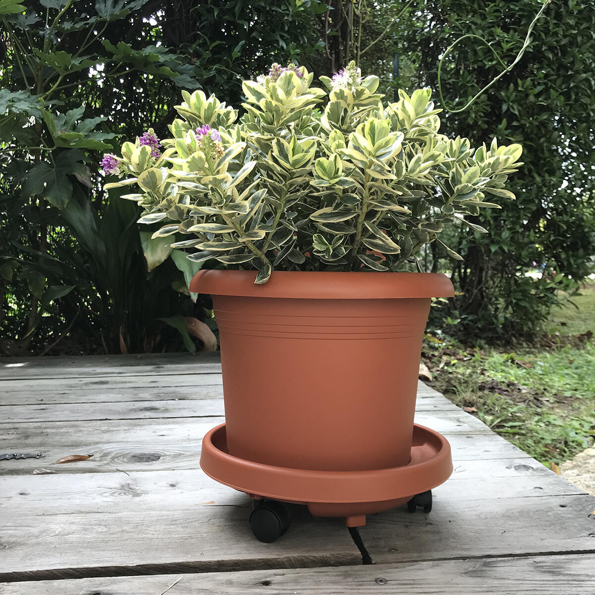 Supporto rotante per vaso Roller STEFANPLAST H 10 cm, 30 Ø 30 cm - 3