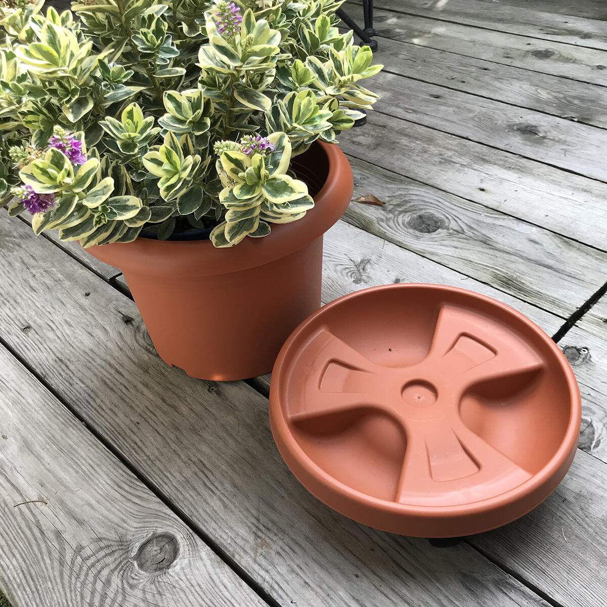 Supporto rotante per vaso Roller STEFANPLAST H 10 cm, 30 Ø 30 cm - 2