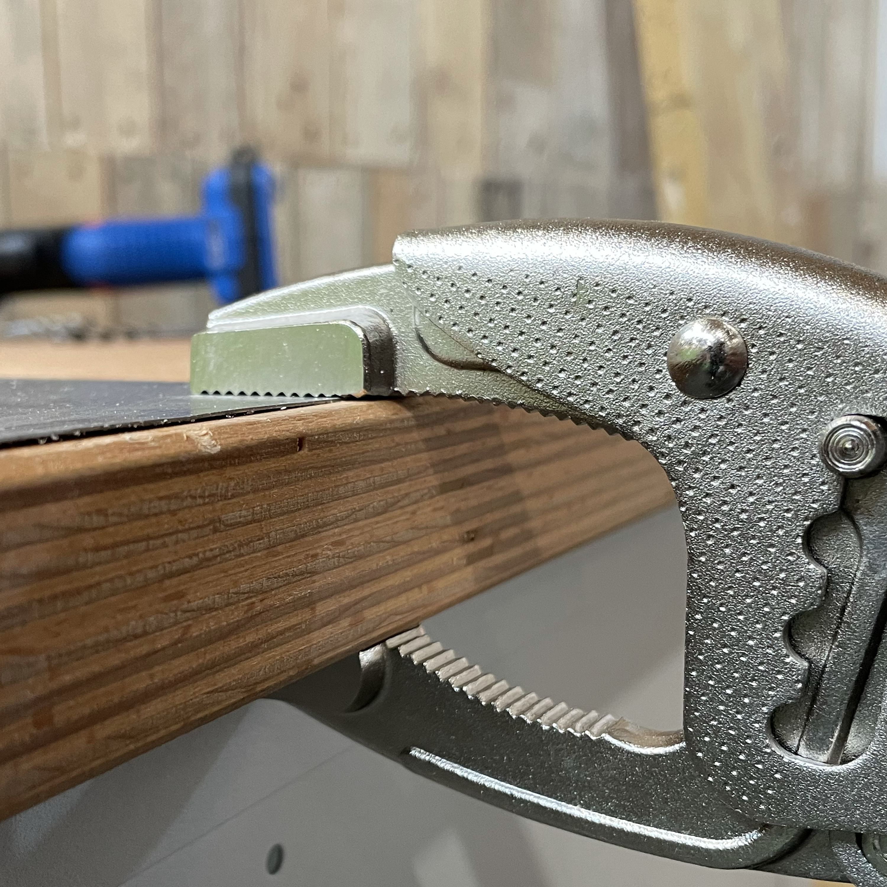 Pince étau DEXTER, L.250.0 mm - 4