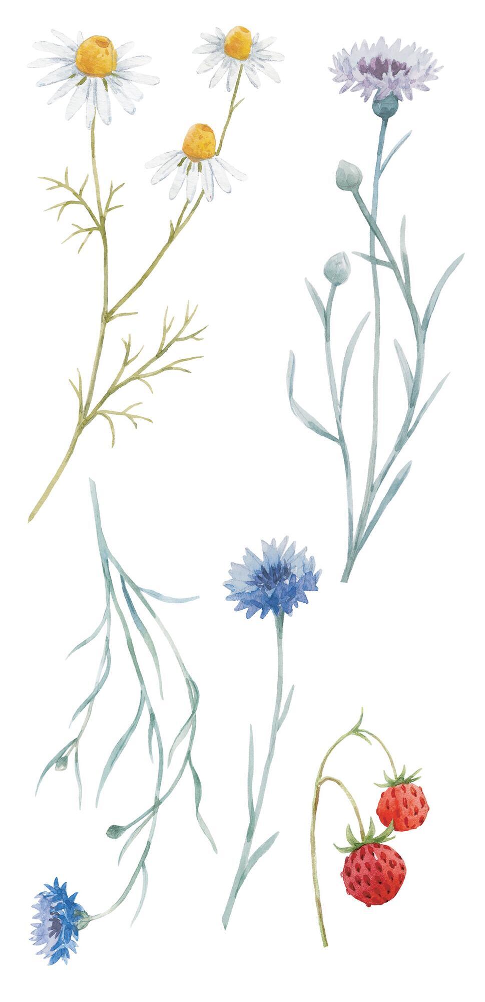 Sticker Fiori di campo 15x31 cm Multicolore, confezione da 2 fogli - 3