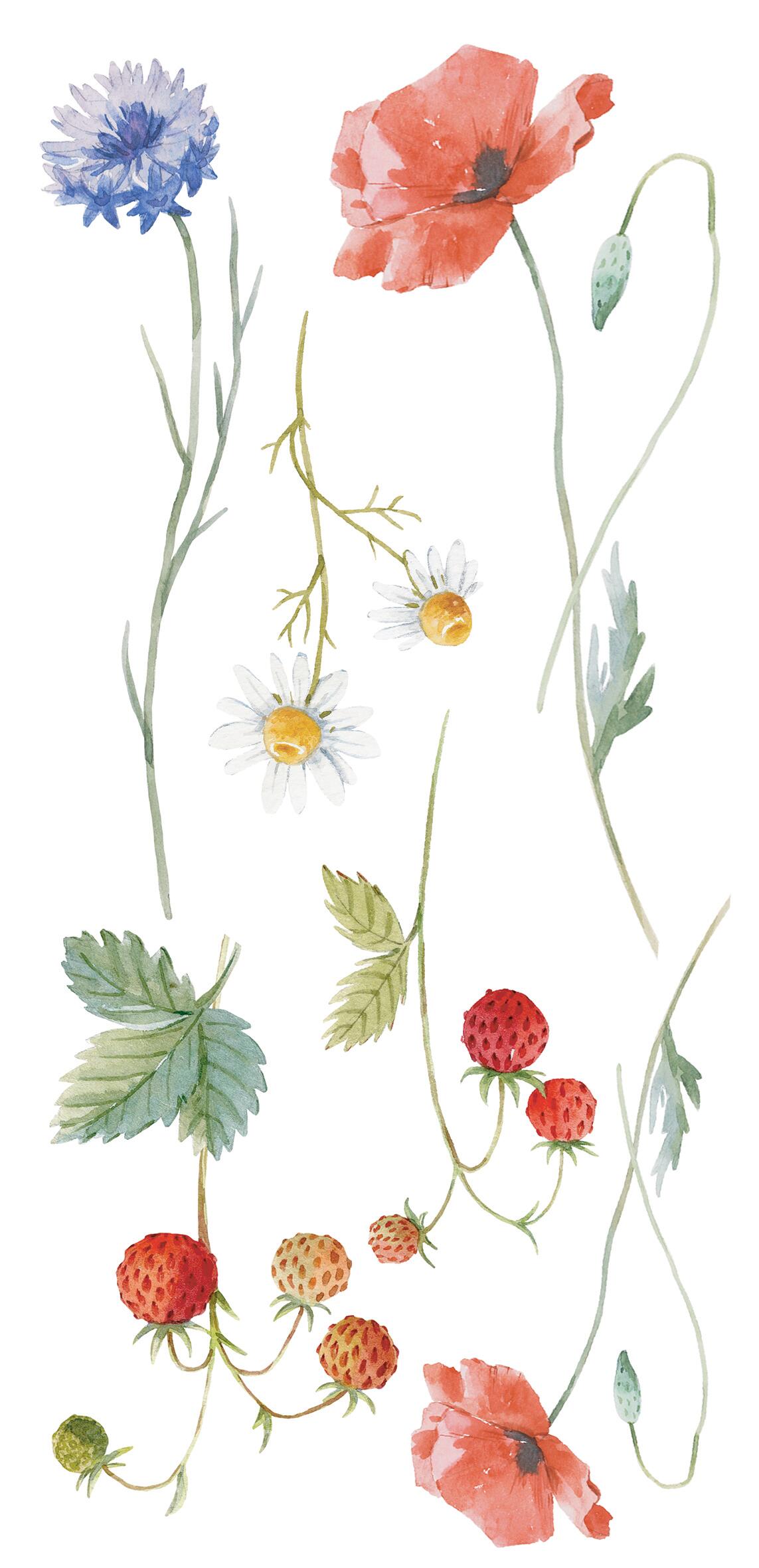 Sticker Fiori di campo 15x31 cm Multicolore, confezione da 2 fogli - 2