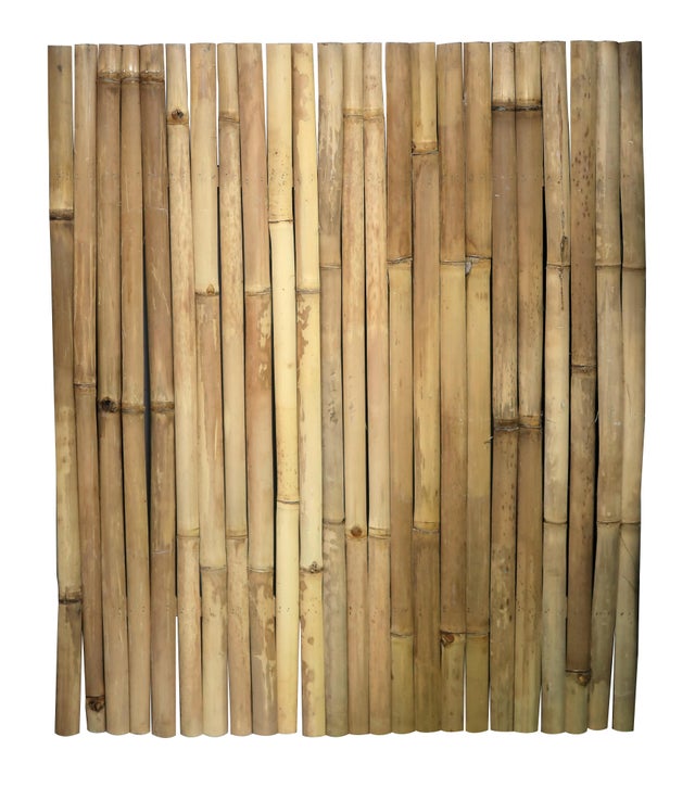 Panneaux lattes sans cordage bambou beige, L. 100 x H. 120 cm