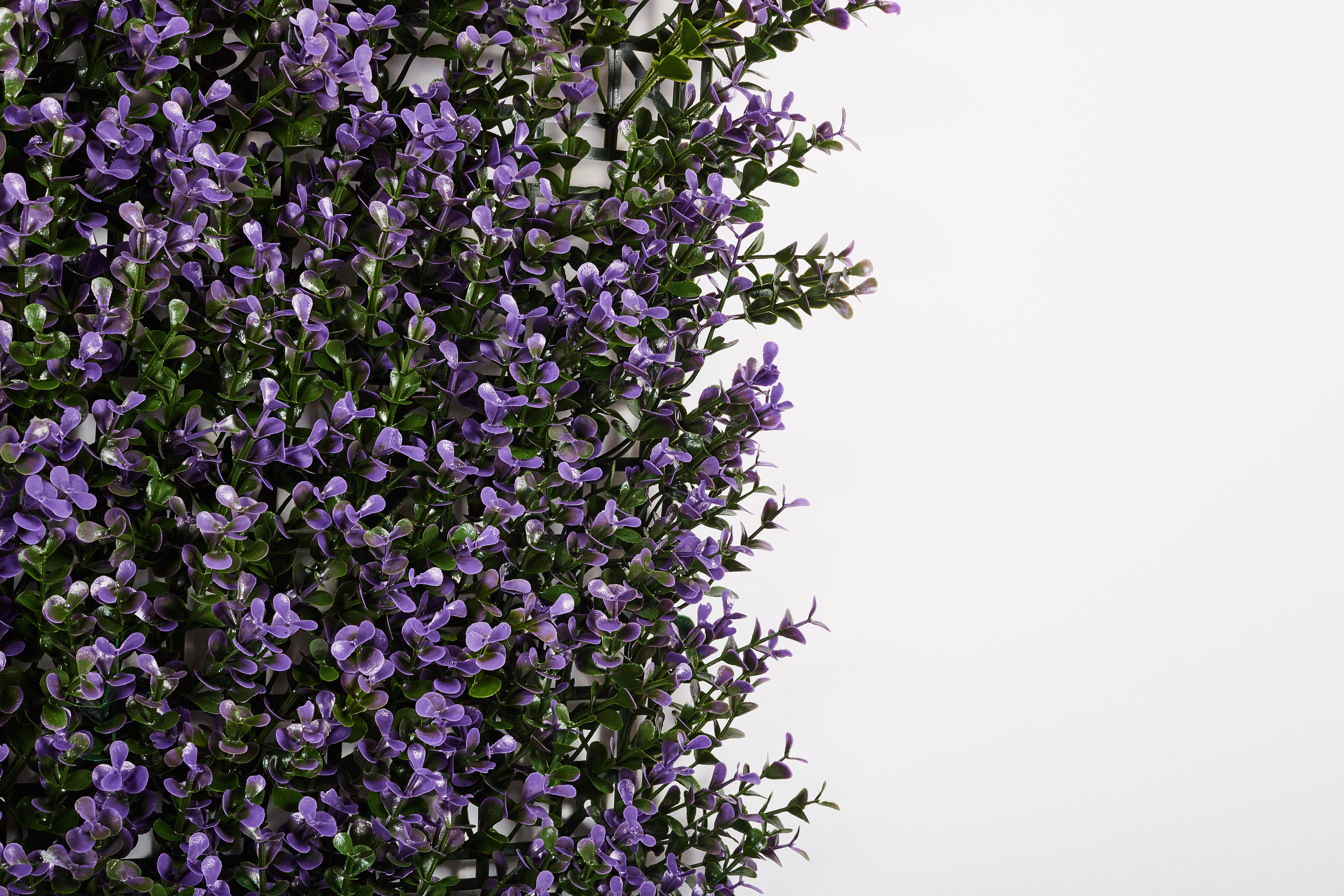 Jardim vertical CATRAL VINCA 100X100CM - 4