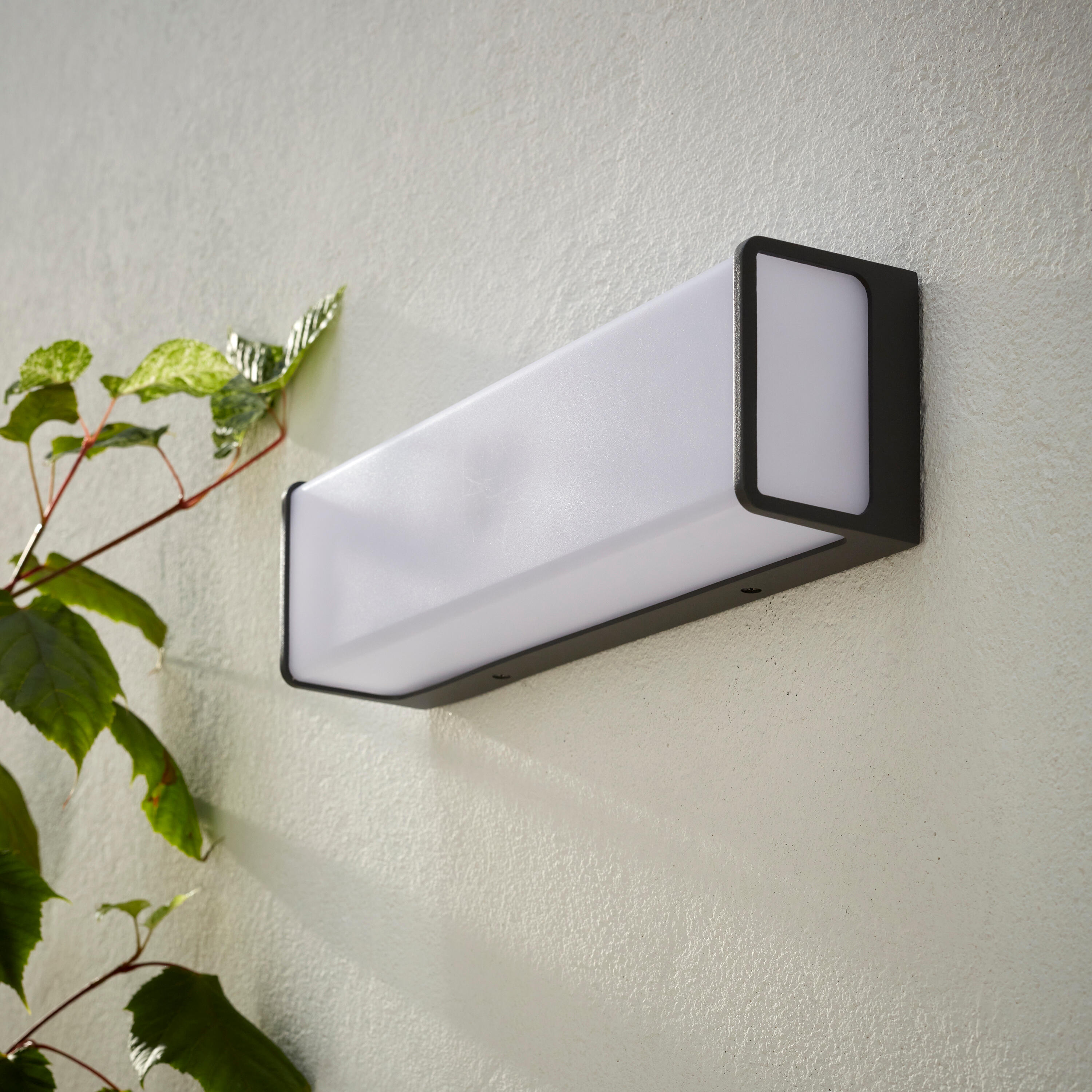 Applique extérieure LED, 3900 lumens blanc neutre, anthracite Telin INSPIRE - 2