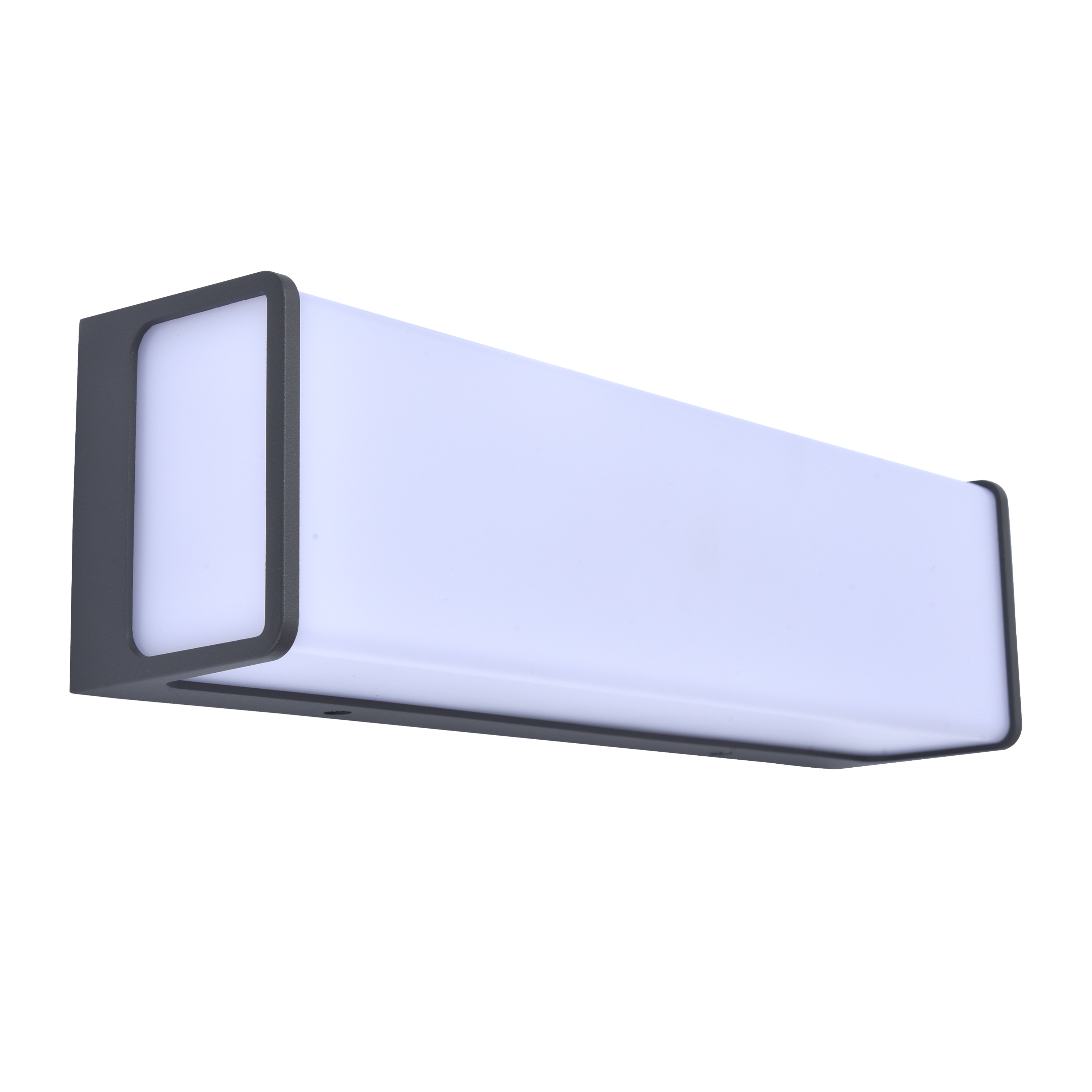 Applique extérieure LED, 3900 lumens blanc neutre, anthracite Telin INSPIRE - 4