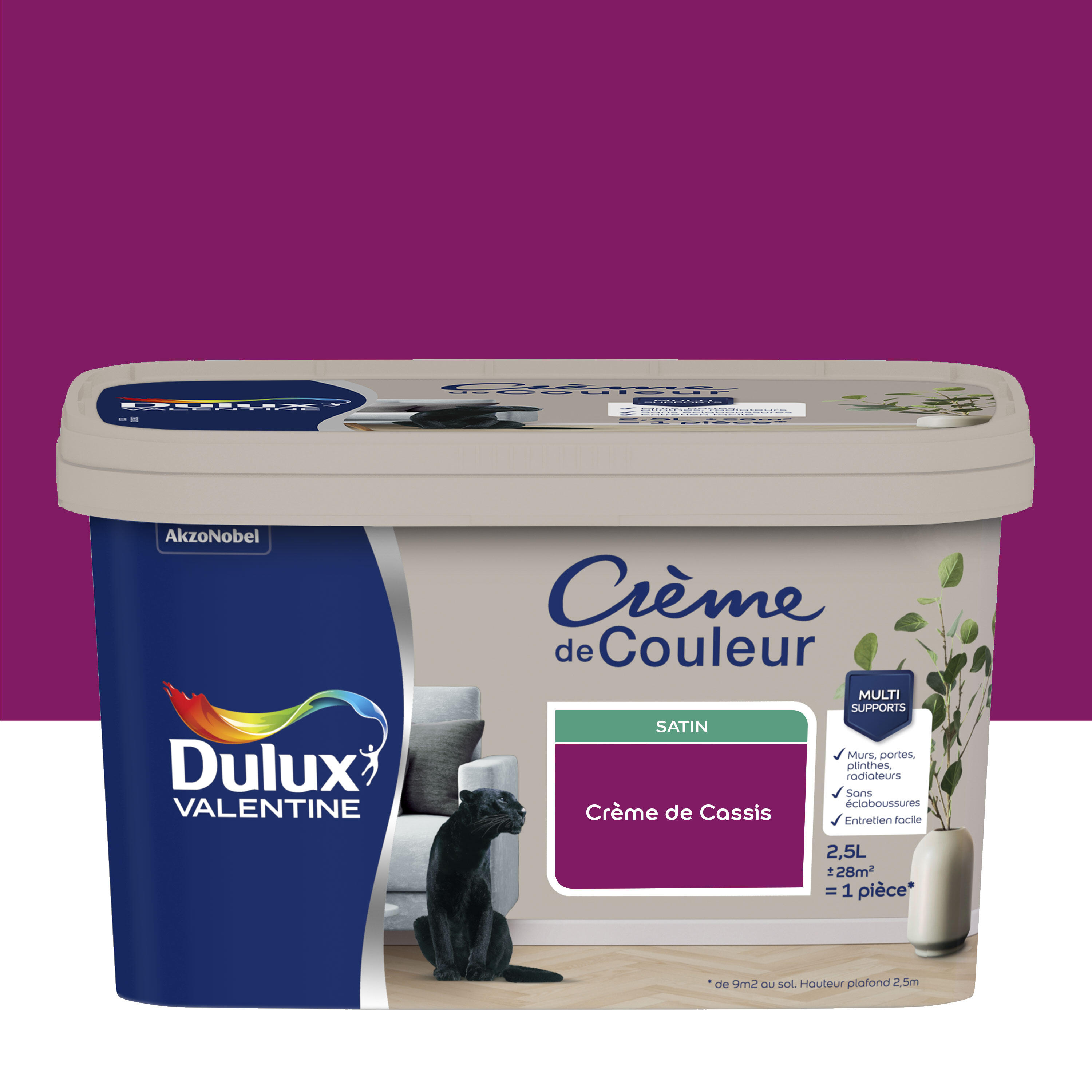 Peinture mur, bois crème de cassis satin DULUX VALENTINE Crème de