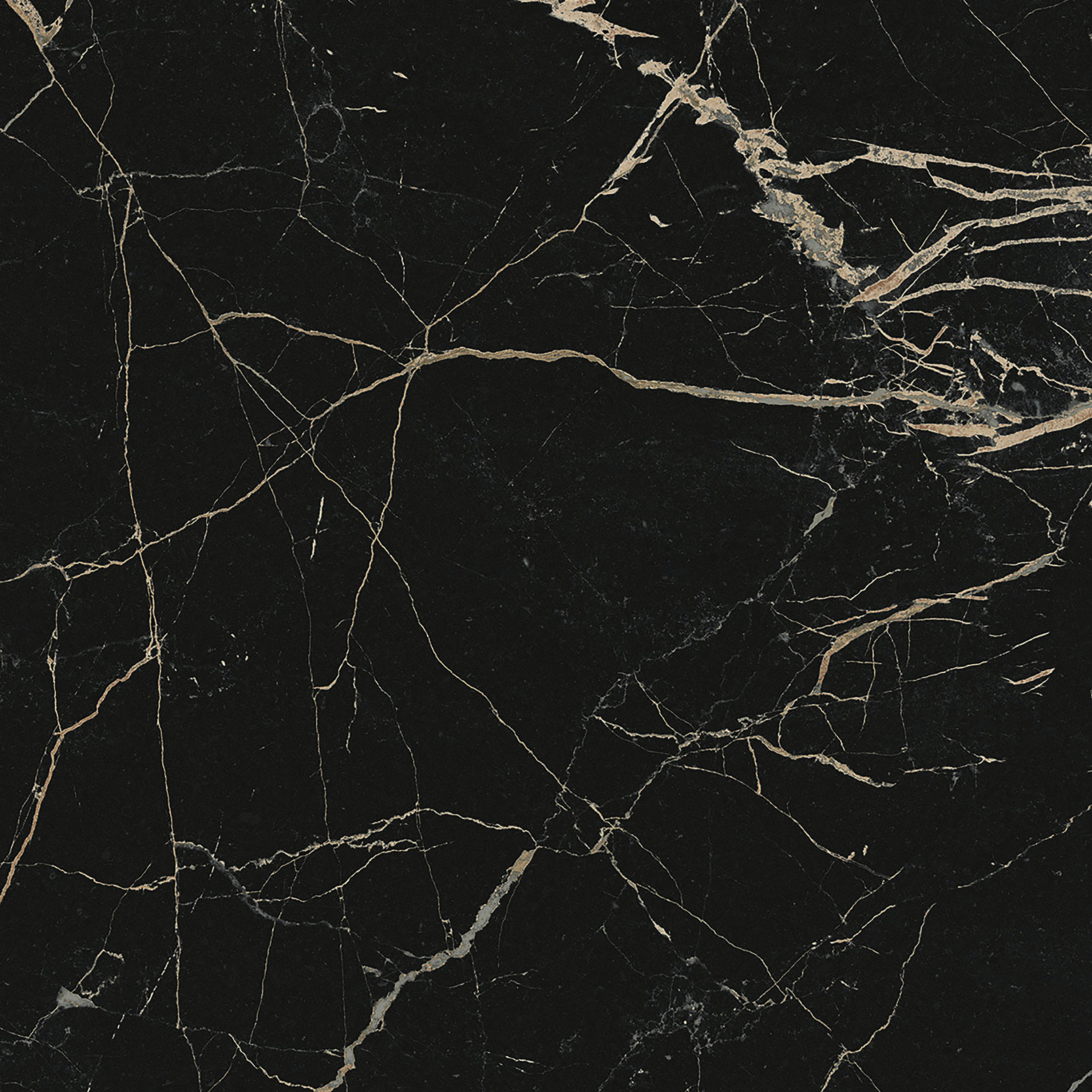 Piastrella da pavimento e rivestimento interno in gres porcellanato 60 x 60 cm rettificato smaltato grigio lucido Blush Black traffico leggero (pei 1/5) Sp. 9 mm 1.08 mq - 4