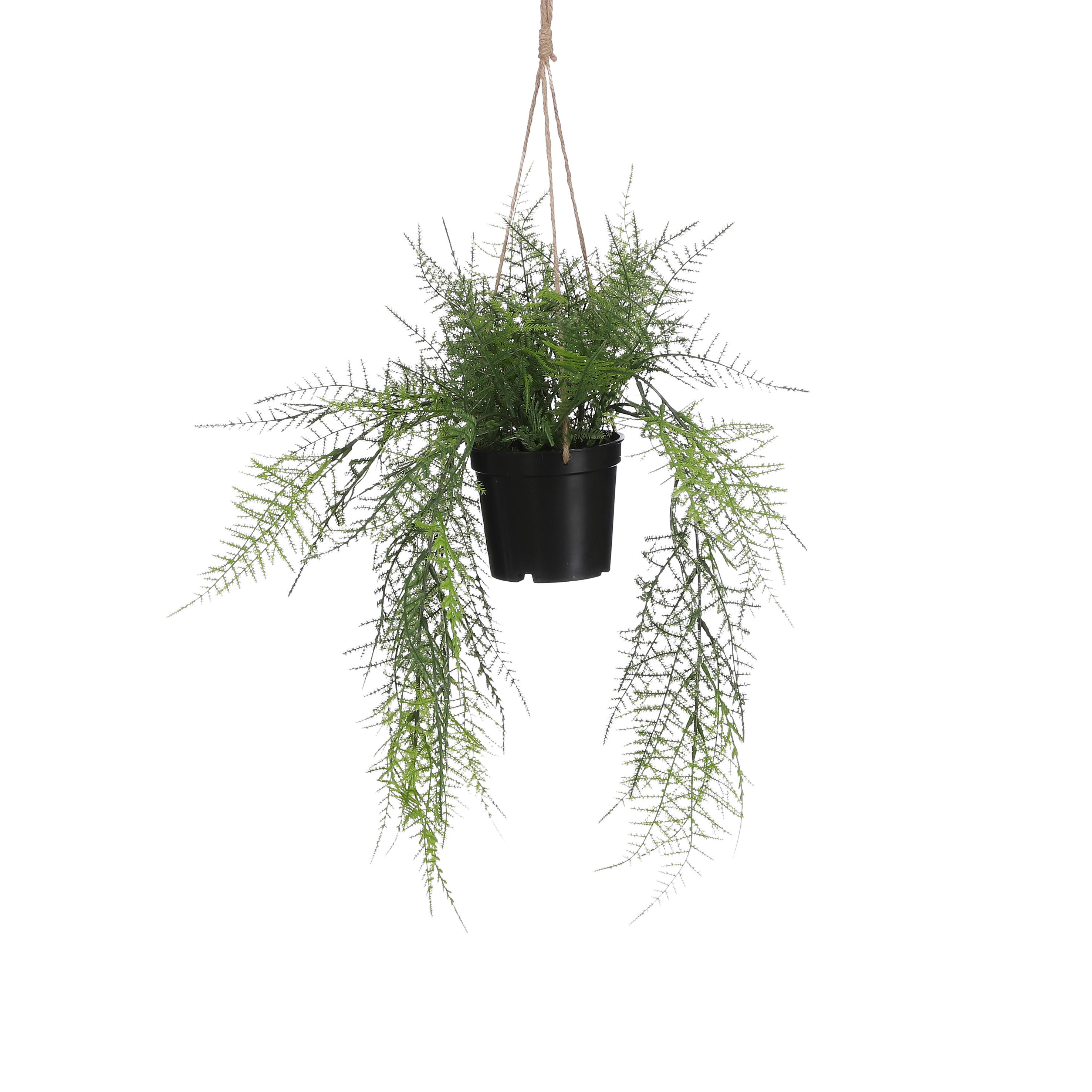 Planta artificial helecho de 43 cm en maceta de ø 9.5 cm