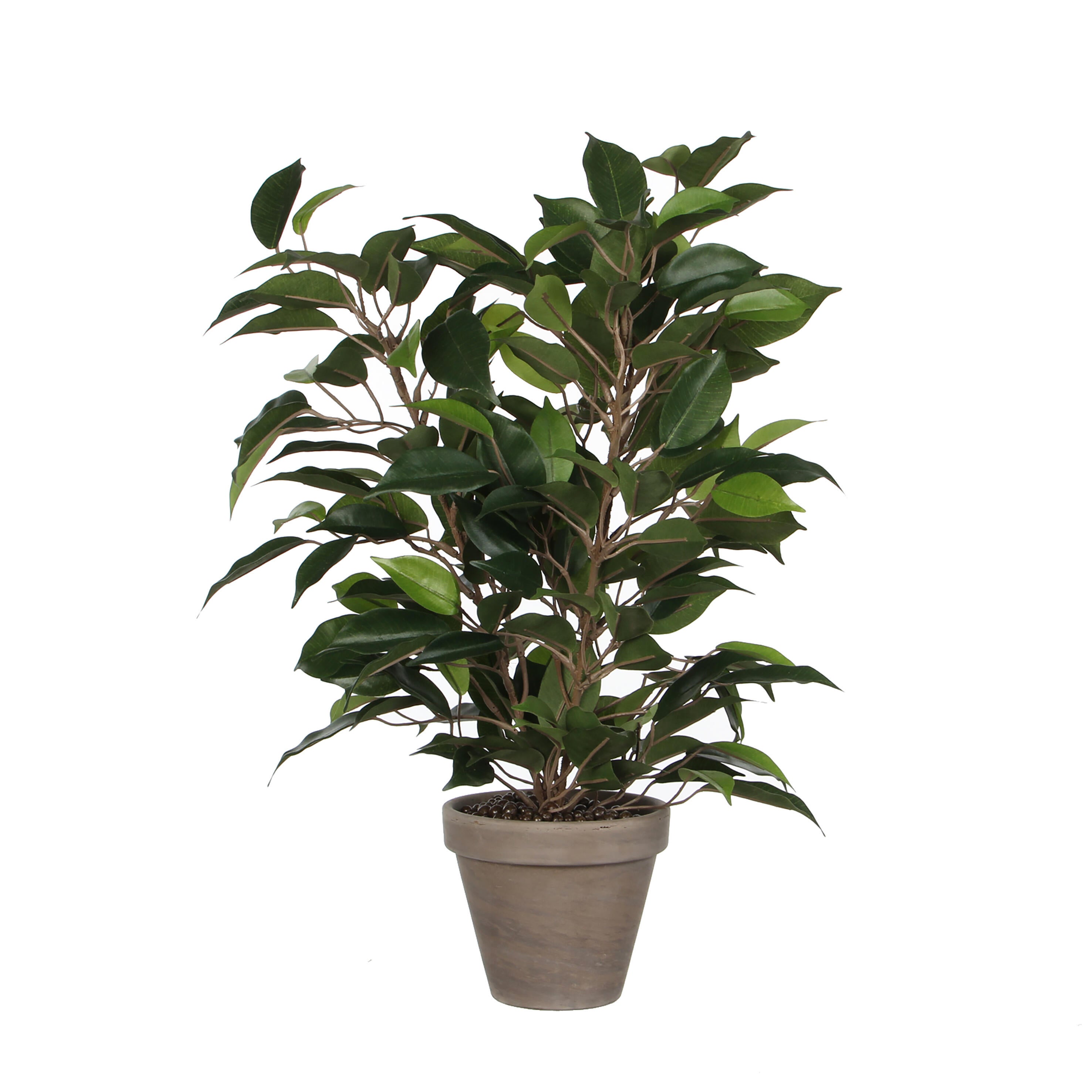 Planta artificial ficus natasja de 40 cm de altura en maceta de ø 30 cm