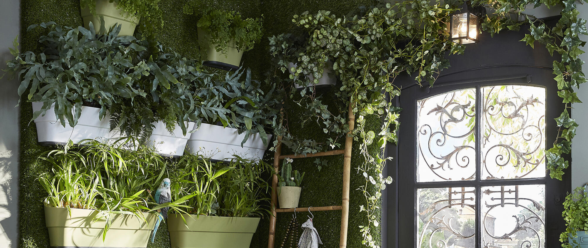 BricoQui Vaso A Parete Plastica Con Sottovaso Colore Terracotta A Muro Mezzaluna Fiori Piante Esterno Giardino - Foto 6