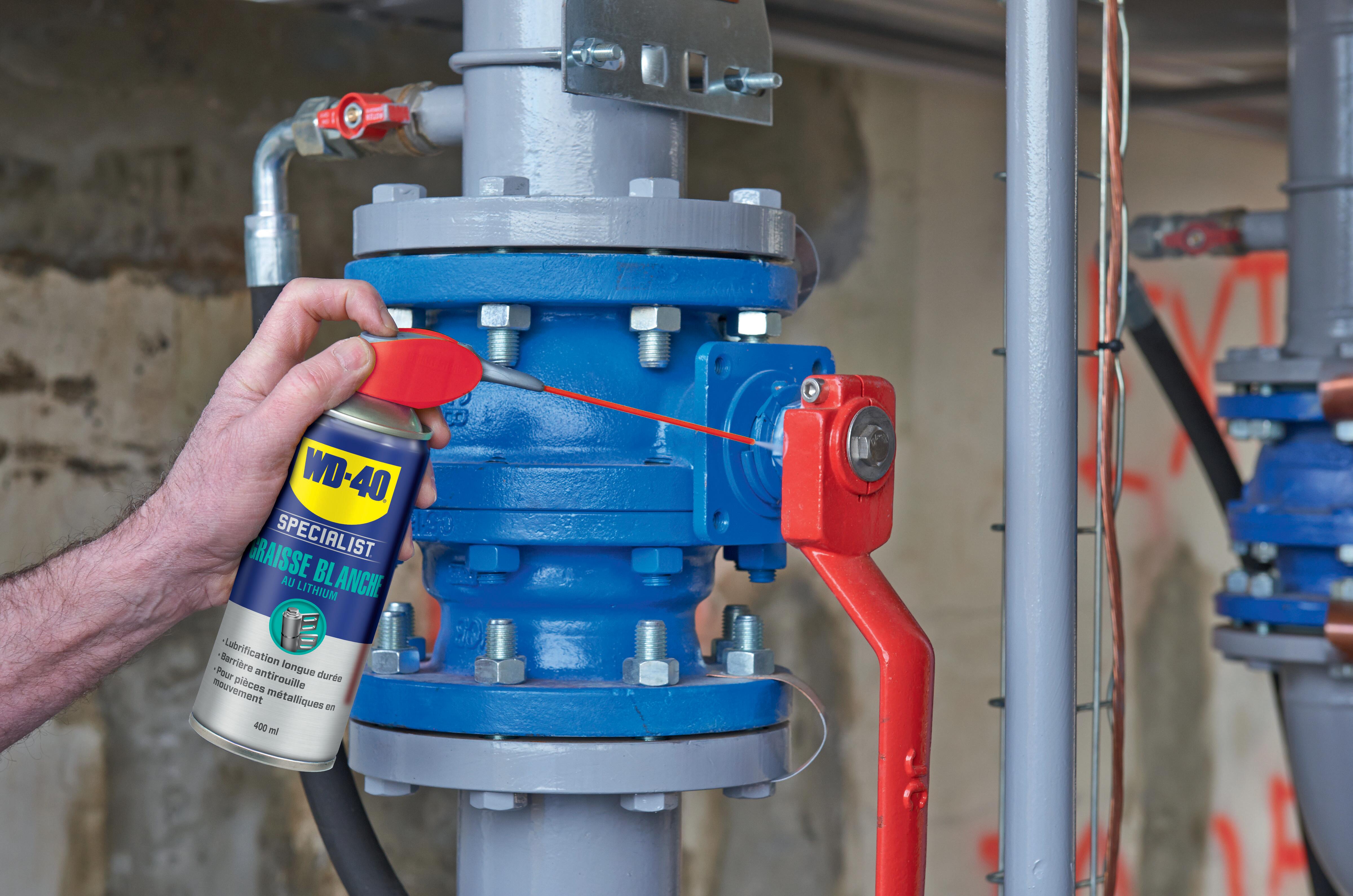 Graisse blanche, WD-40 en aérosol 250 ml - 12