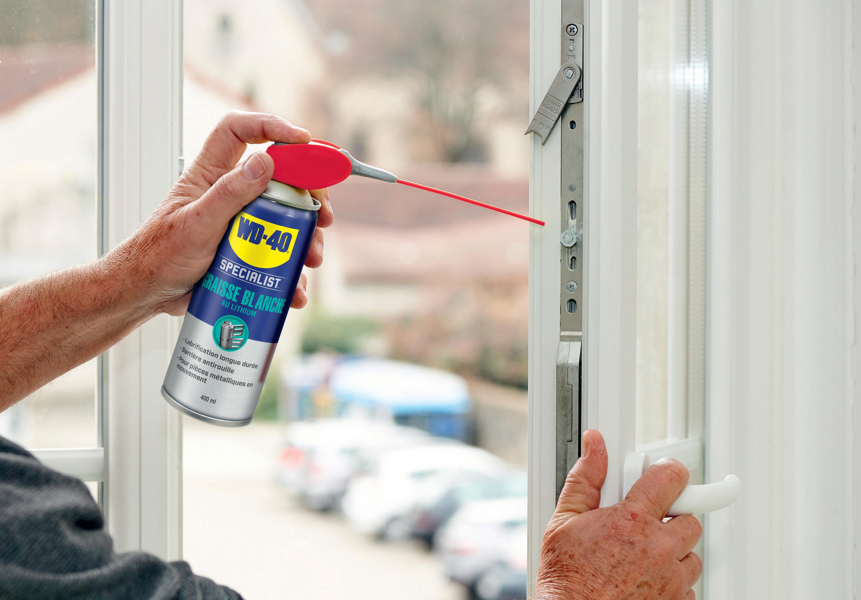 Graisse blanche, WD-40 en aérosol 250 ml - 8