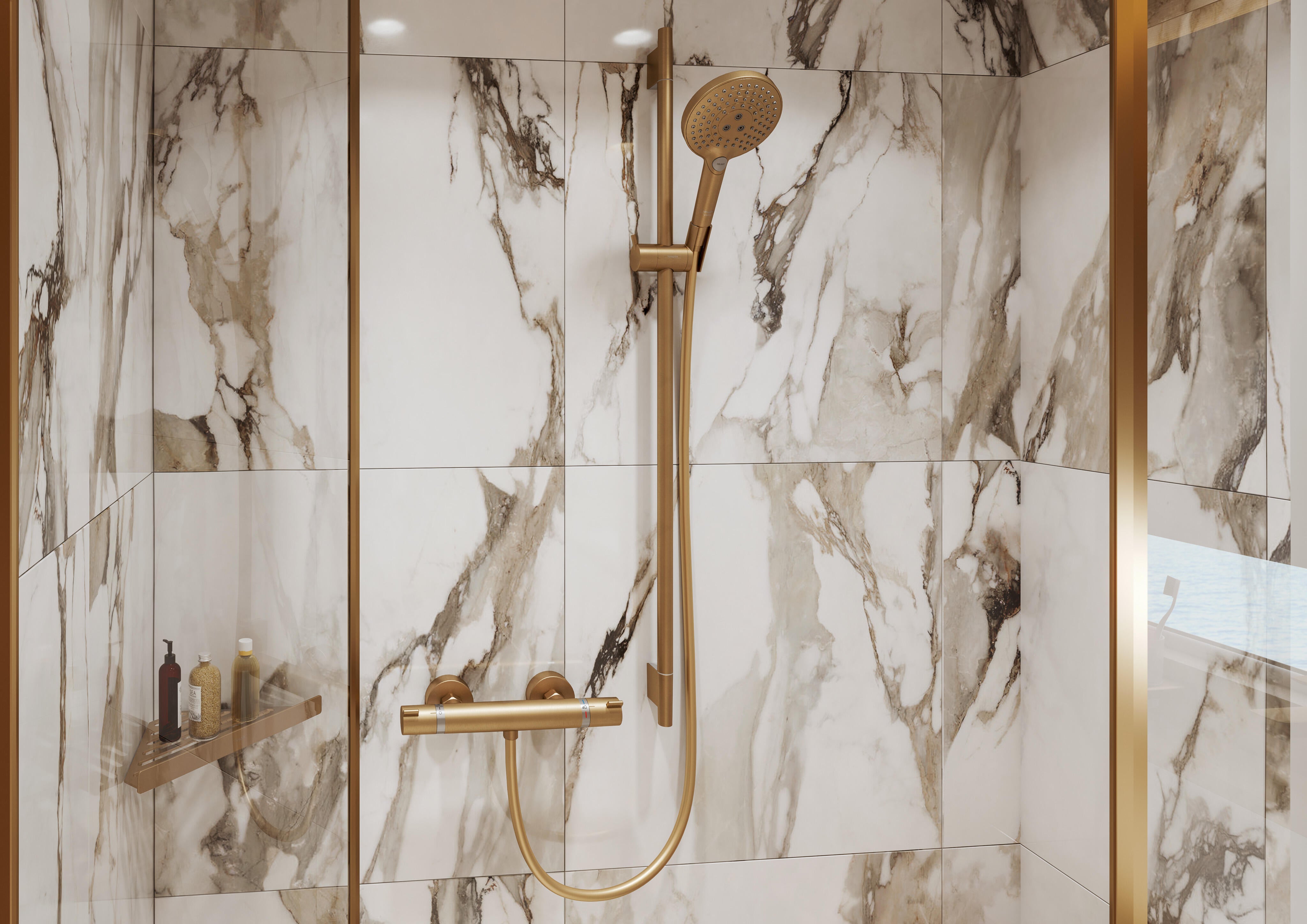 Flexible de douche L.160 cm bronze, HANSGROHE Isiflex - 2