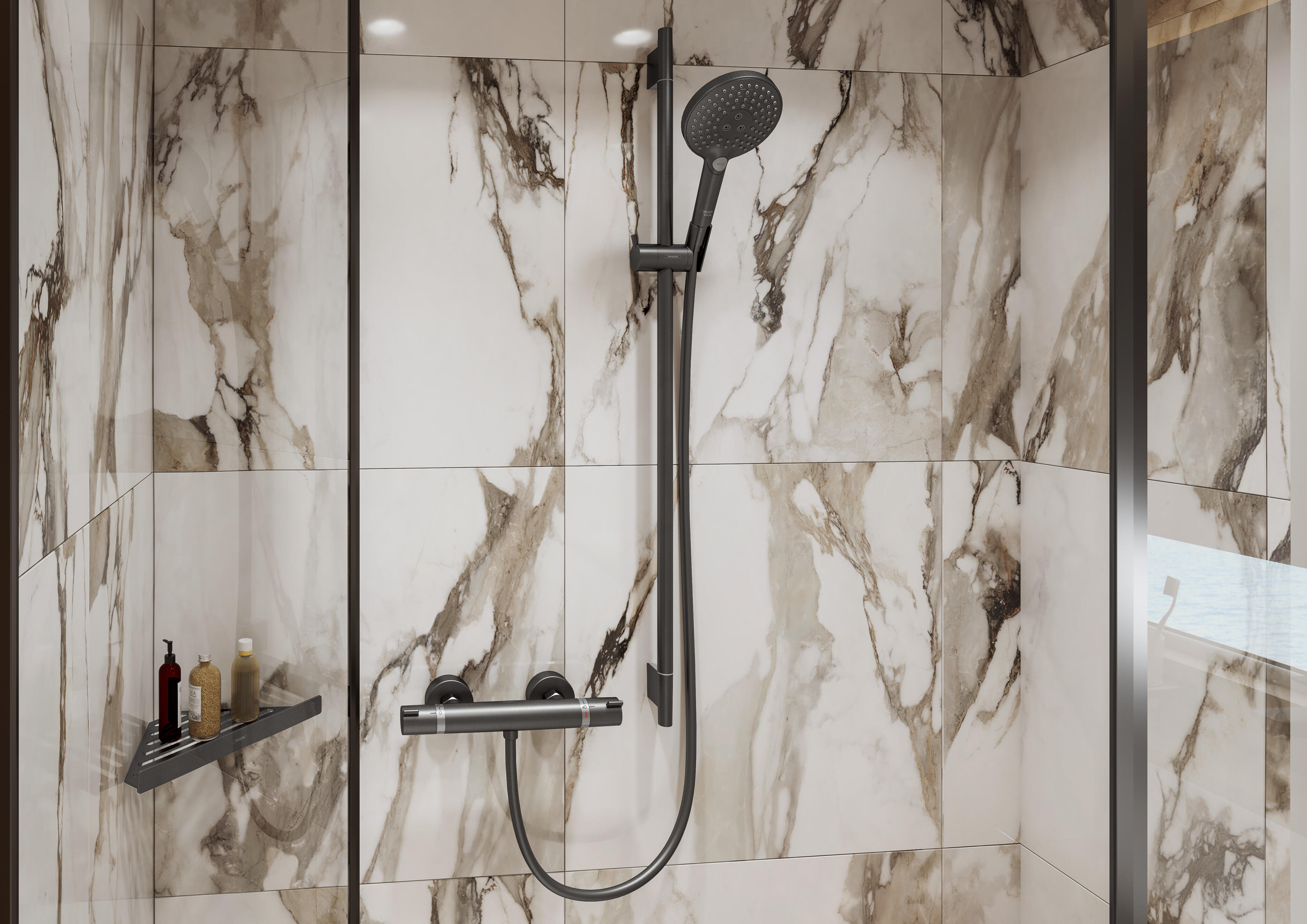 Flexible de douche L.160 cm noir brossé, HANSGROHE Isiflex - 2