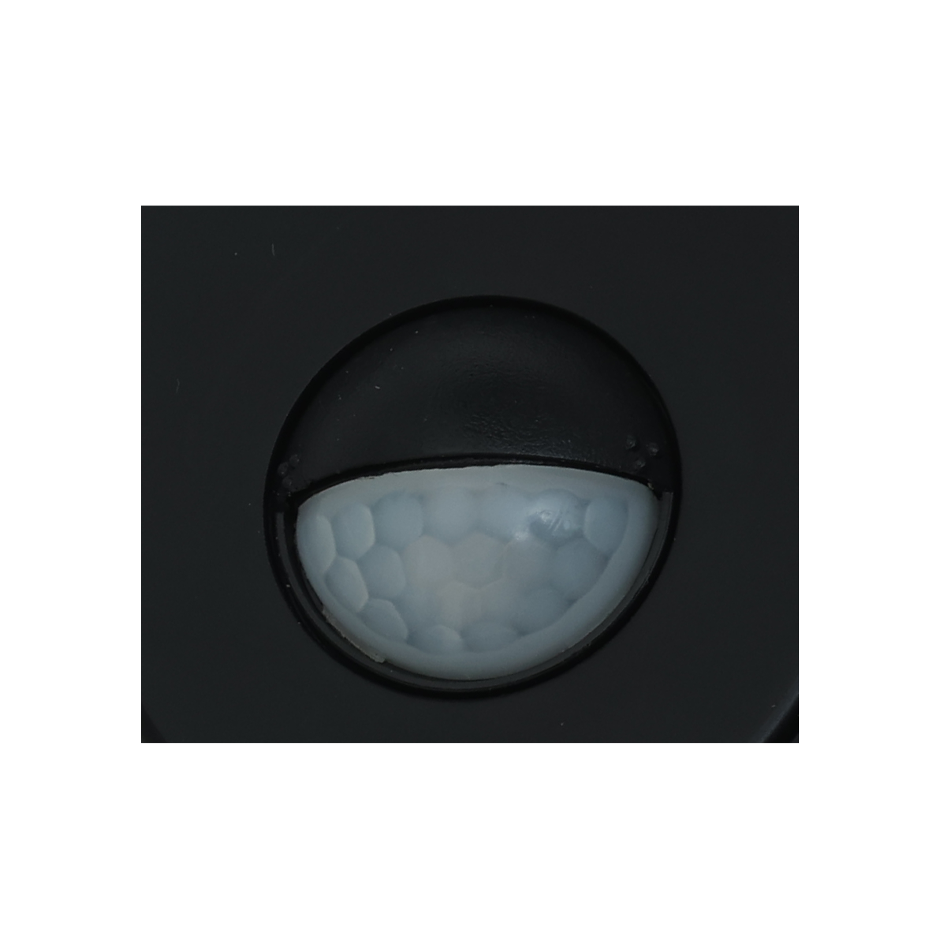 Projecteur extérieur LED à détection, 4800 lumens noir Foggy INSPIRE - 7