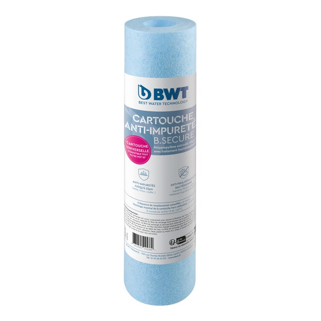 Cartouche filtre à eau 125550142 BWT