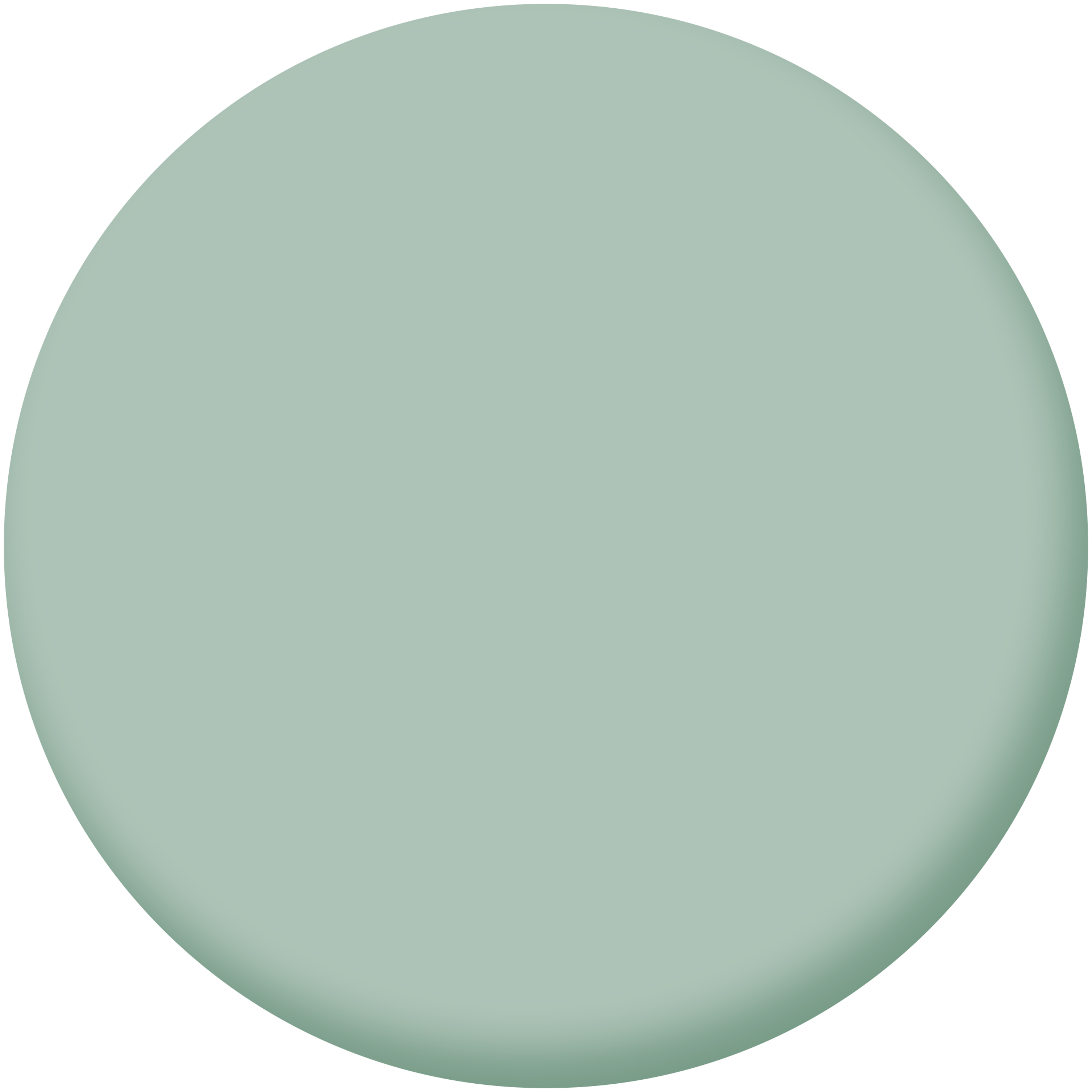 Pintura de interior Biobase LUXENS color cactus 6 mate 4L para paredes y techos - 4