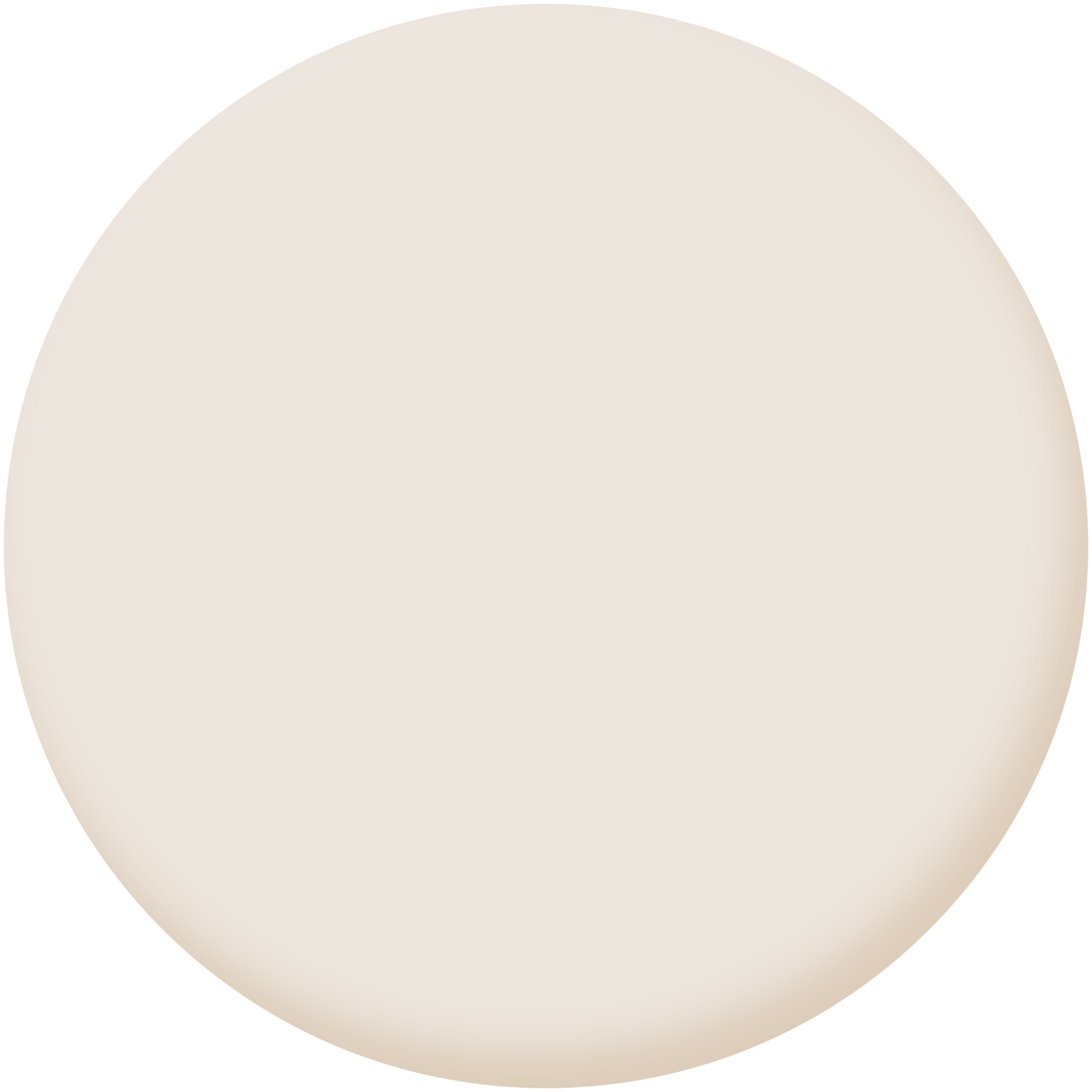 Pintura de interior Biobase LUXENS color paper 5 mate 4L para paredes y techos - 4