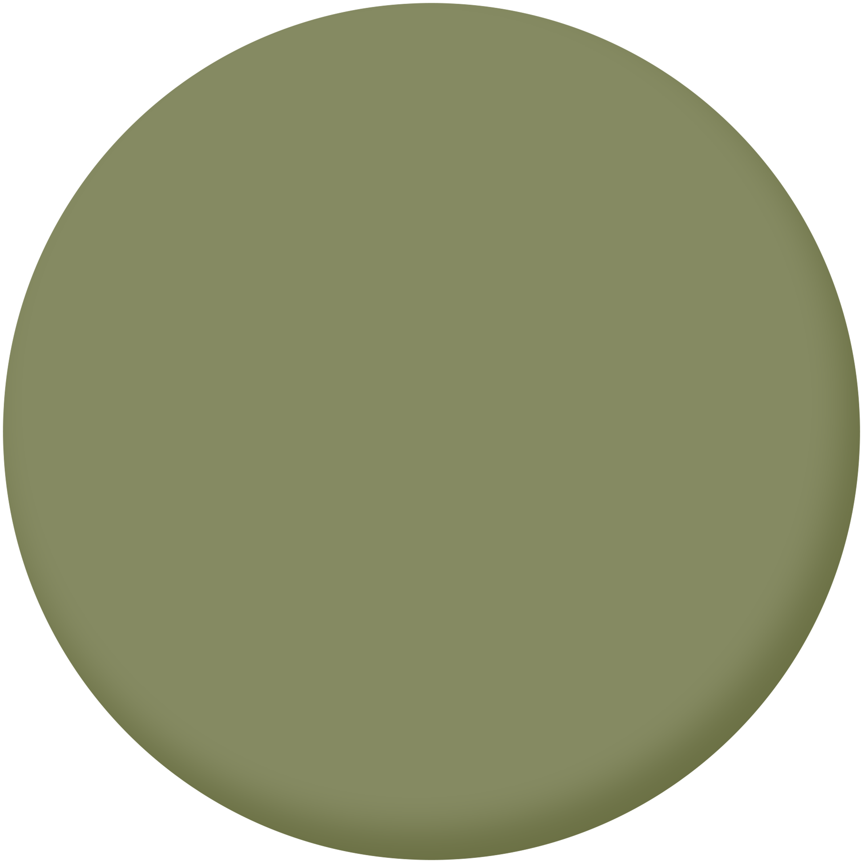 Pittura per interni per parete e soffitto lavabile, LUXENS Biobased verde wake 3 opaco, 2.5 L - 3