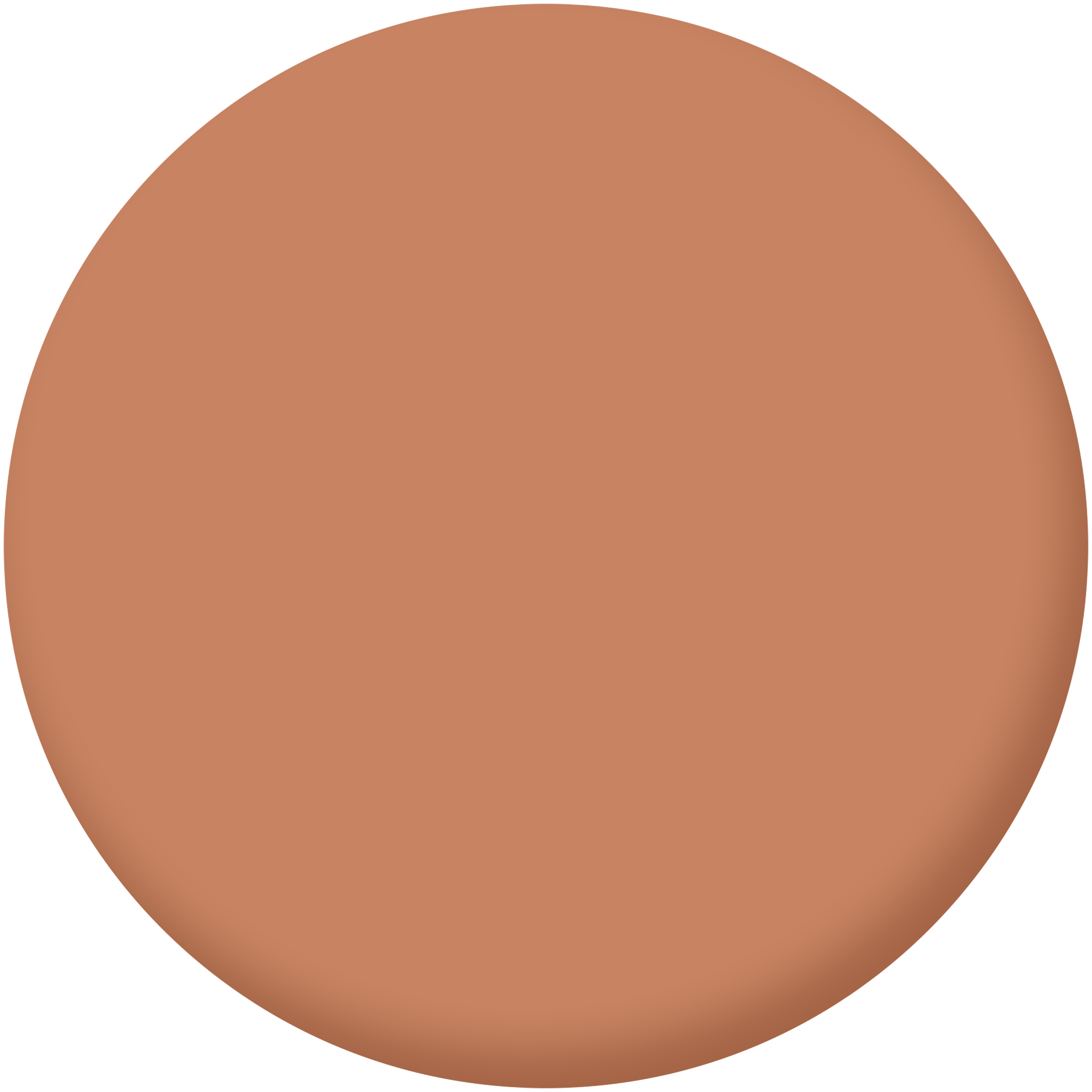 Pittura per interni per parete e soffitto lavabile, LUXENS Biobased arancio cotta 4 opaco, 2.5 L - 3