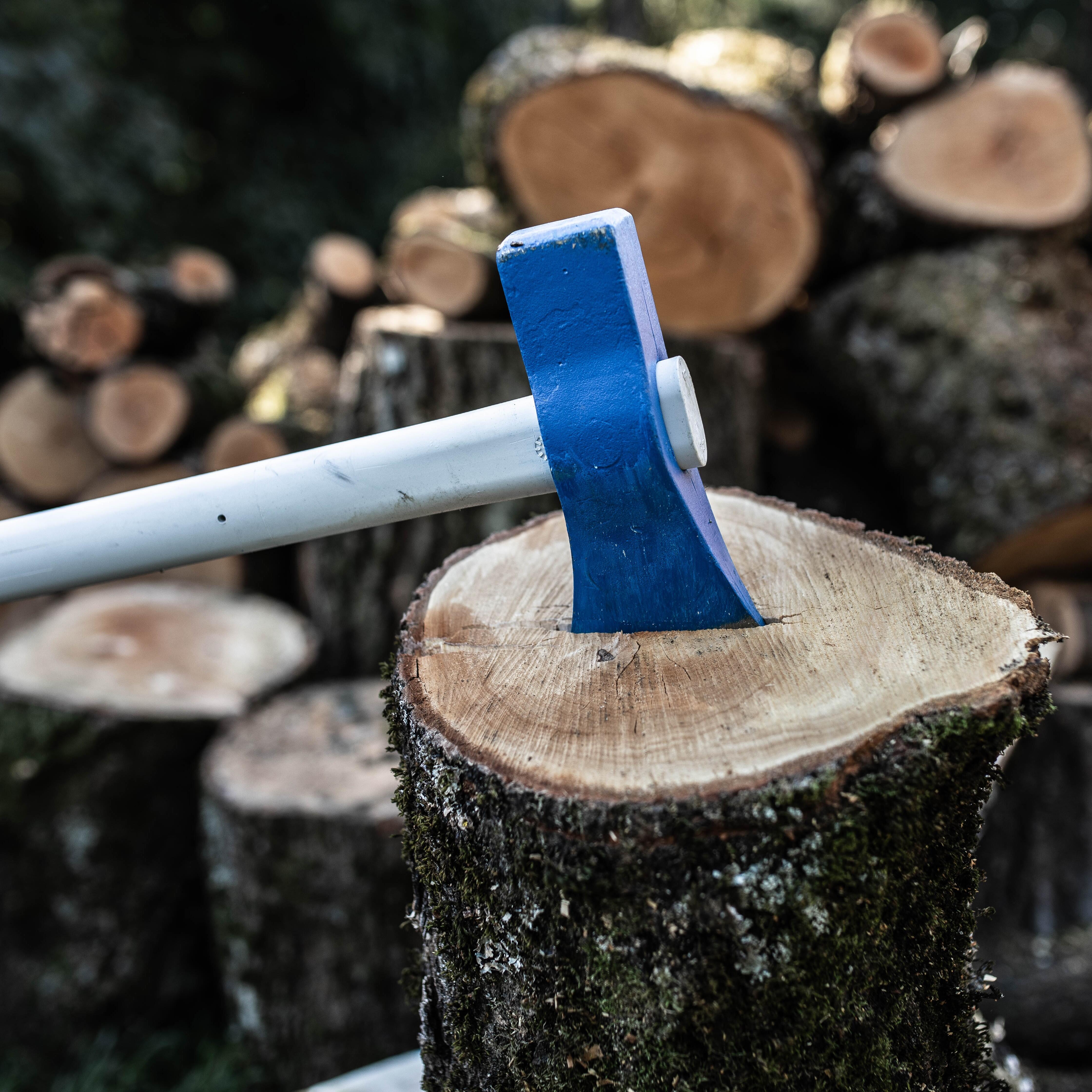 Merlin forge 2.5 kg  mch fibre 90cm REVEX - 4