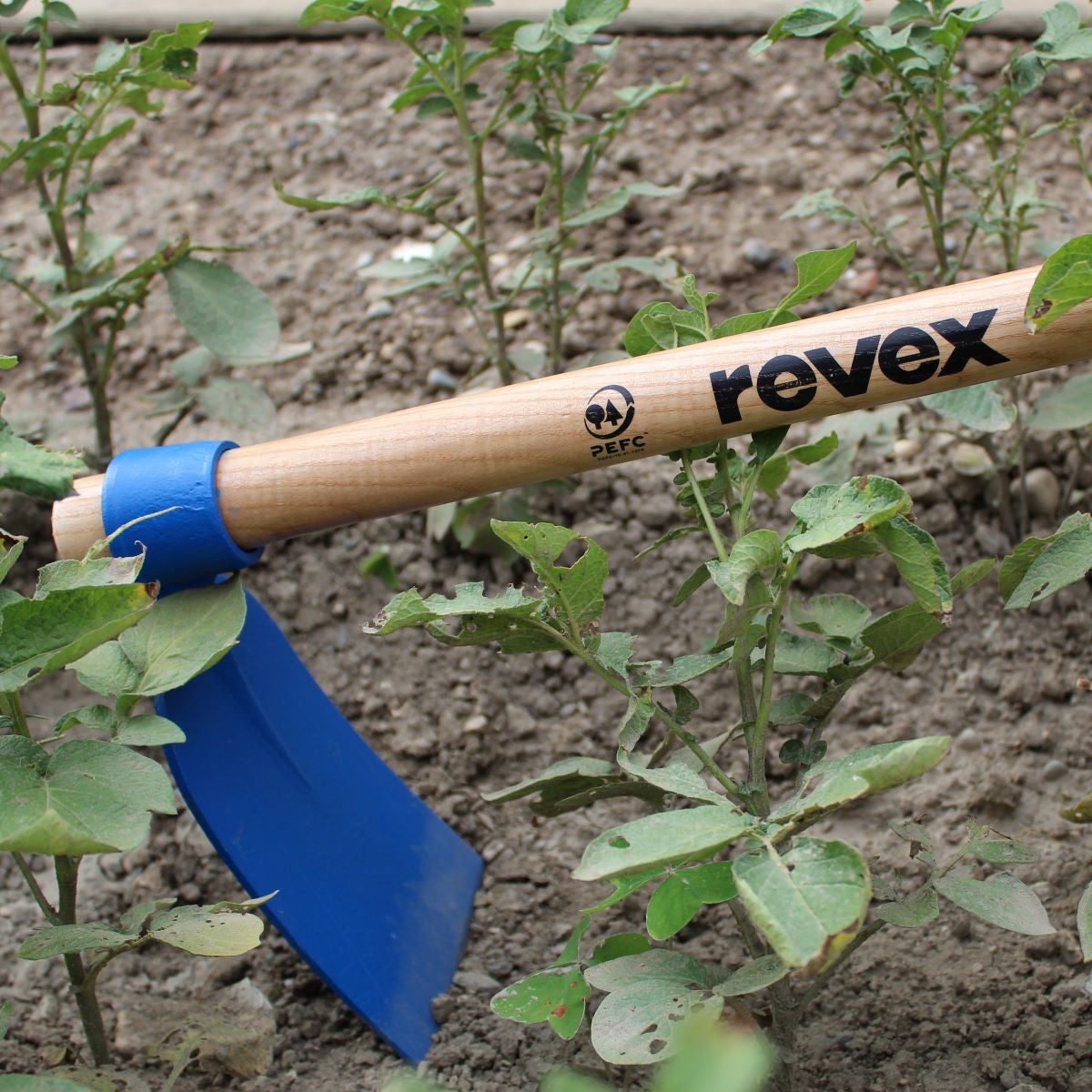 Houes forgée 1.7kg mch bois 115cm REVEX - 5
