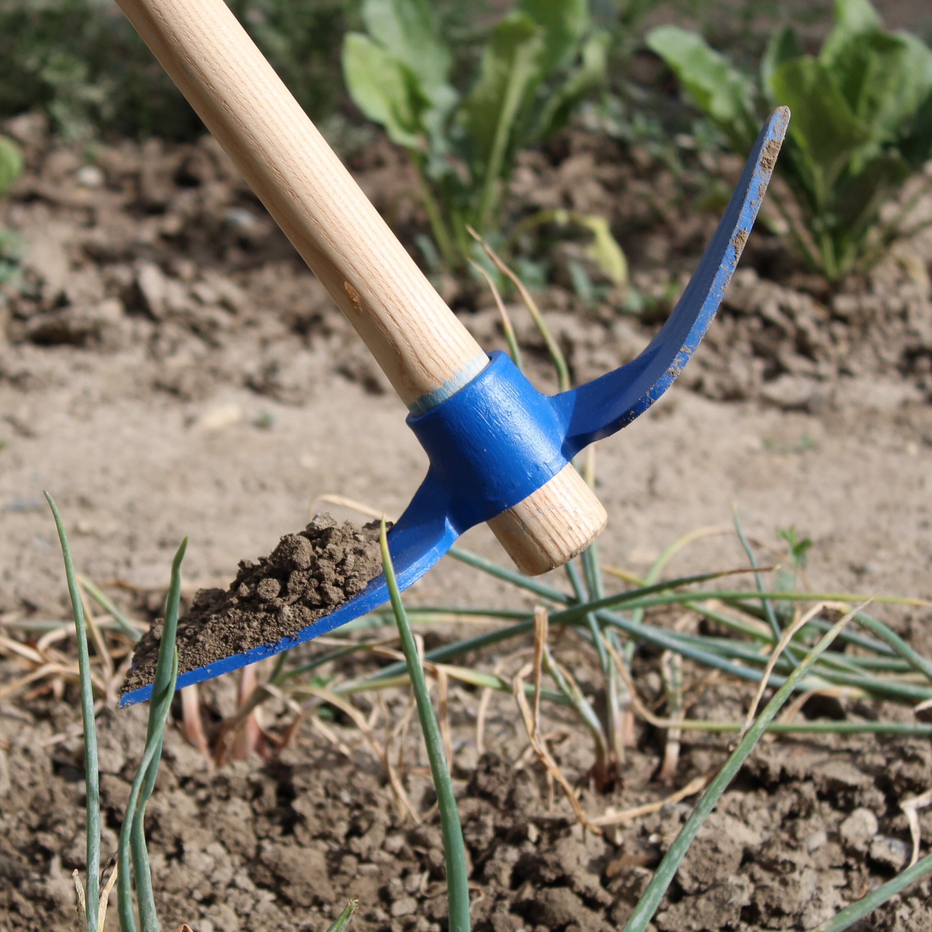 Serfouette panne et langue acier forgé REVEX manche bois L.115 cm - 4