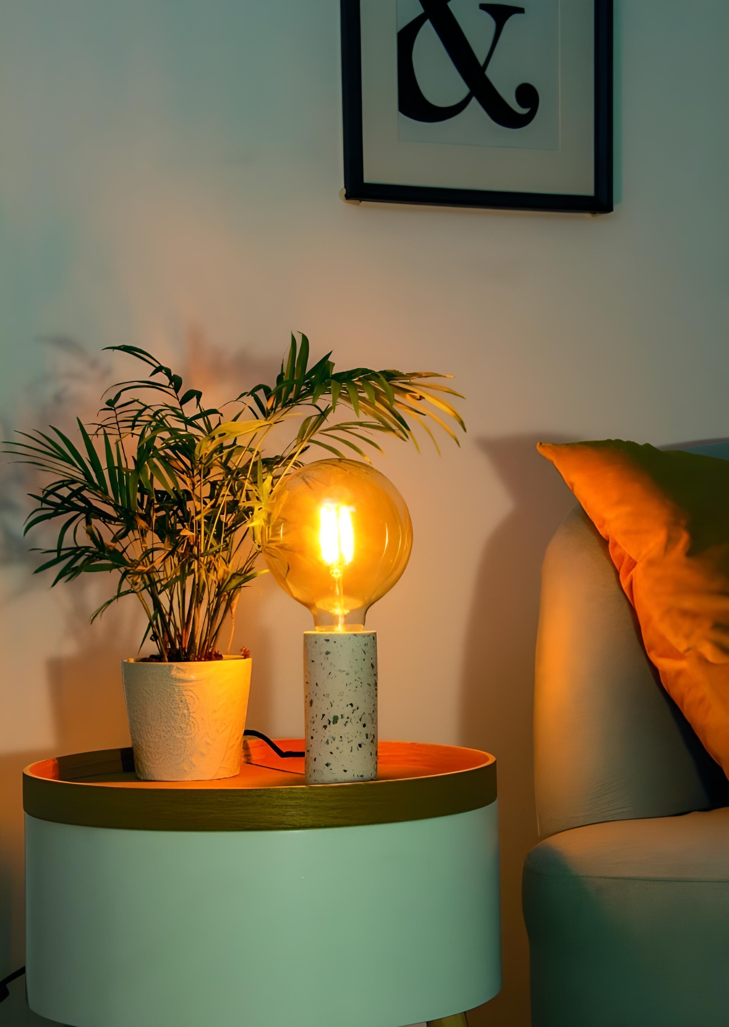 Ampoule led décorative, globe 125mm, E27, 1521Lm, blanc très chaud, XANLITE - 2