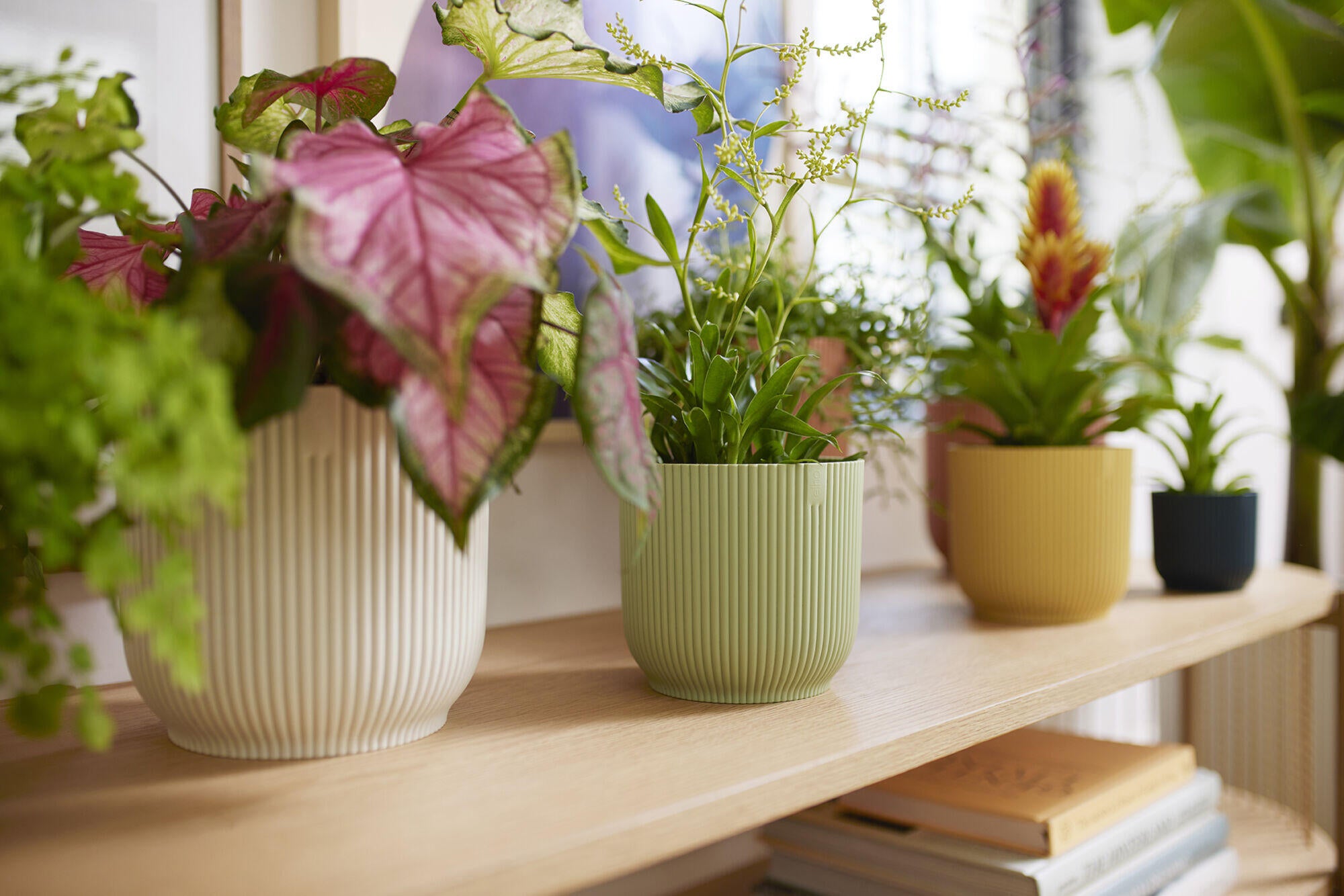 Pots De Fleurs Elho Vibes Fold - Lot De 3 Ronds 14/16/18cm - Plastique 100% Recyclé - Rose Poudré