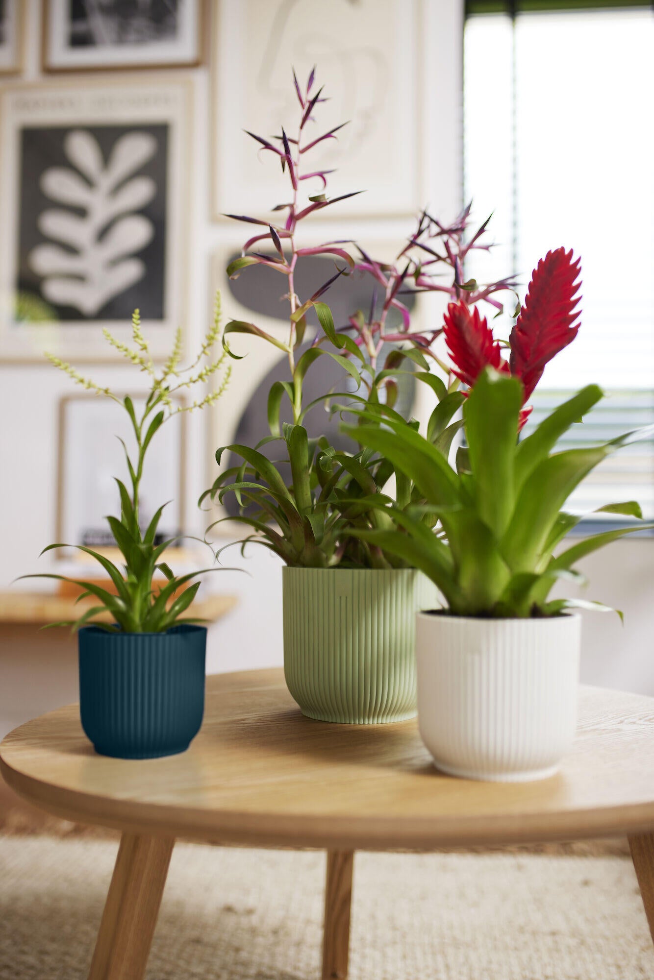 Jardinière rond ELHO D.16 x H.14.8 cm vert - 2