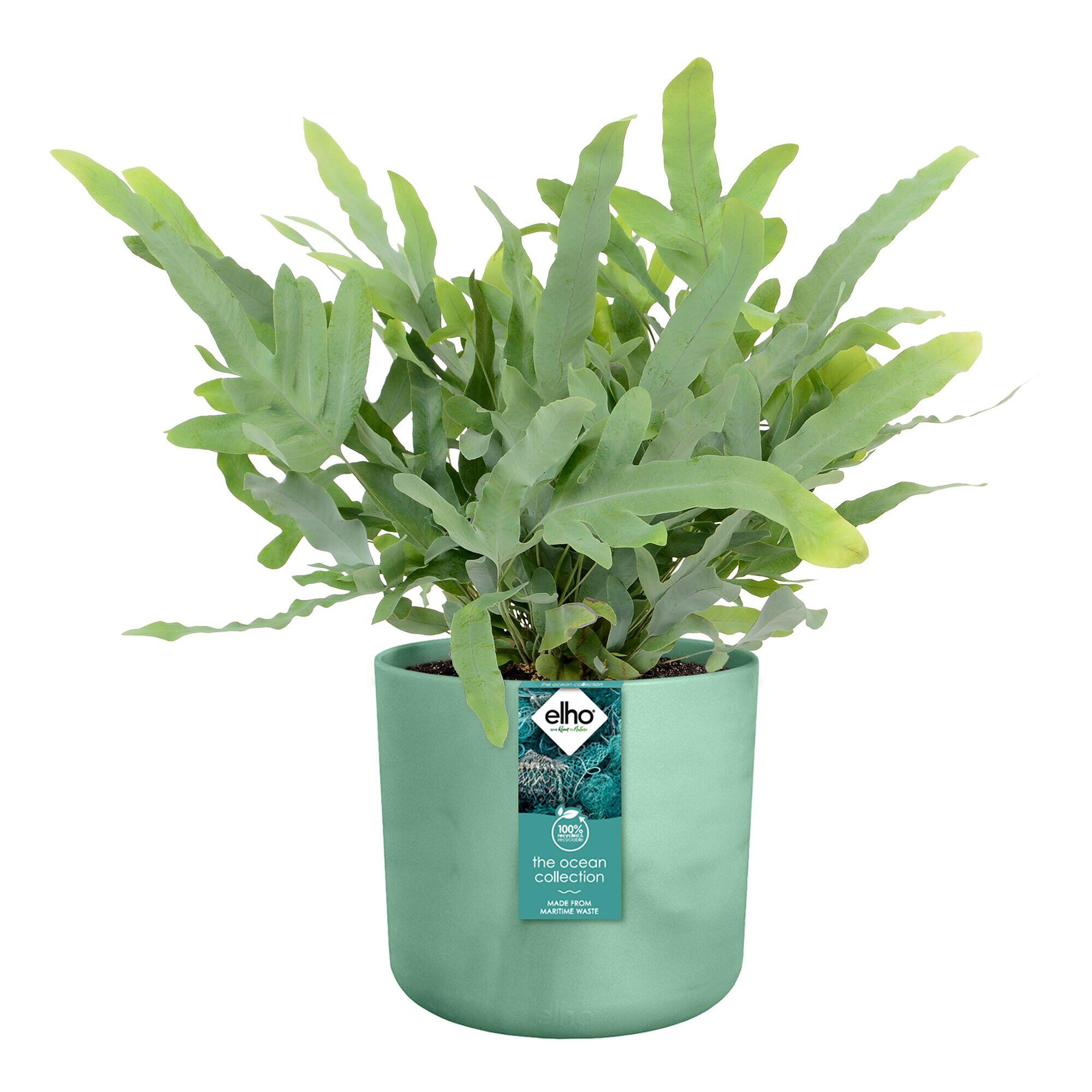 Cache pot rond ELHO D.14 x H.12.5 cm vert - 3