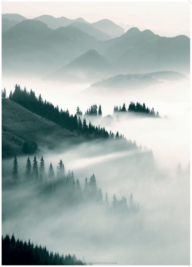Poster Déco 40x50 Cm - Forêt Brumeuse Montagne En Noir Et Blanc - Art Mural Moderne