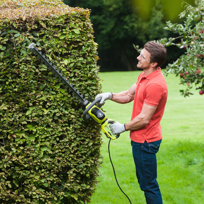 Taille-haie électrique RYOBI Rht6160rs, 600W L.60cm - 4