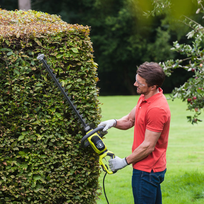 Taille-haie électrique RYOBI Rht6160rs, 600W L.60cm - 2