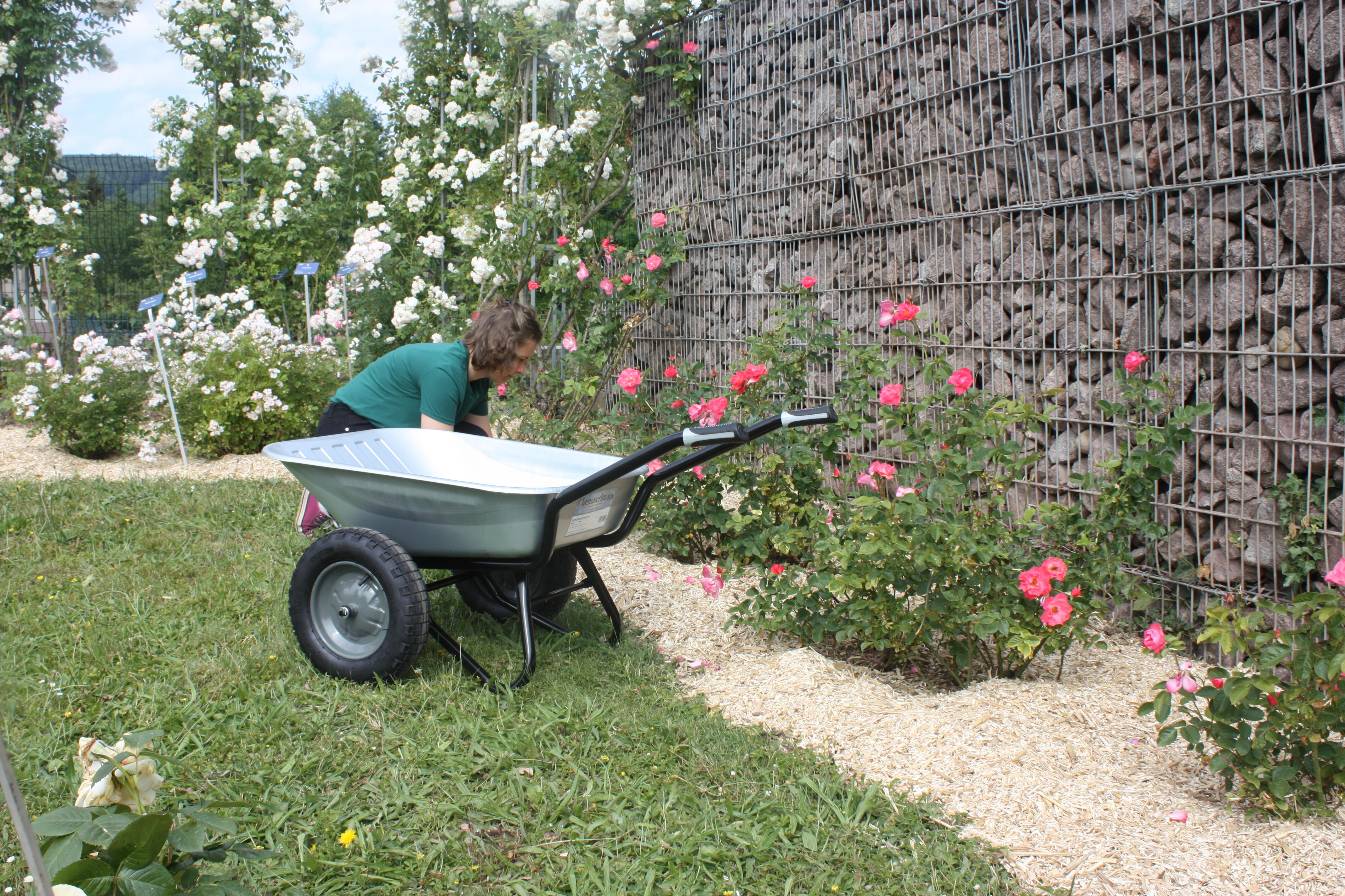 Brouette 2 roues acier galvanisé Aktiv excellium twin HAEMMERLIN, 100l, 150kg - 6