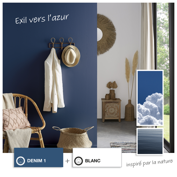 bleu nuit et blanc inspiration biosourcée peinture