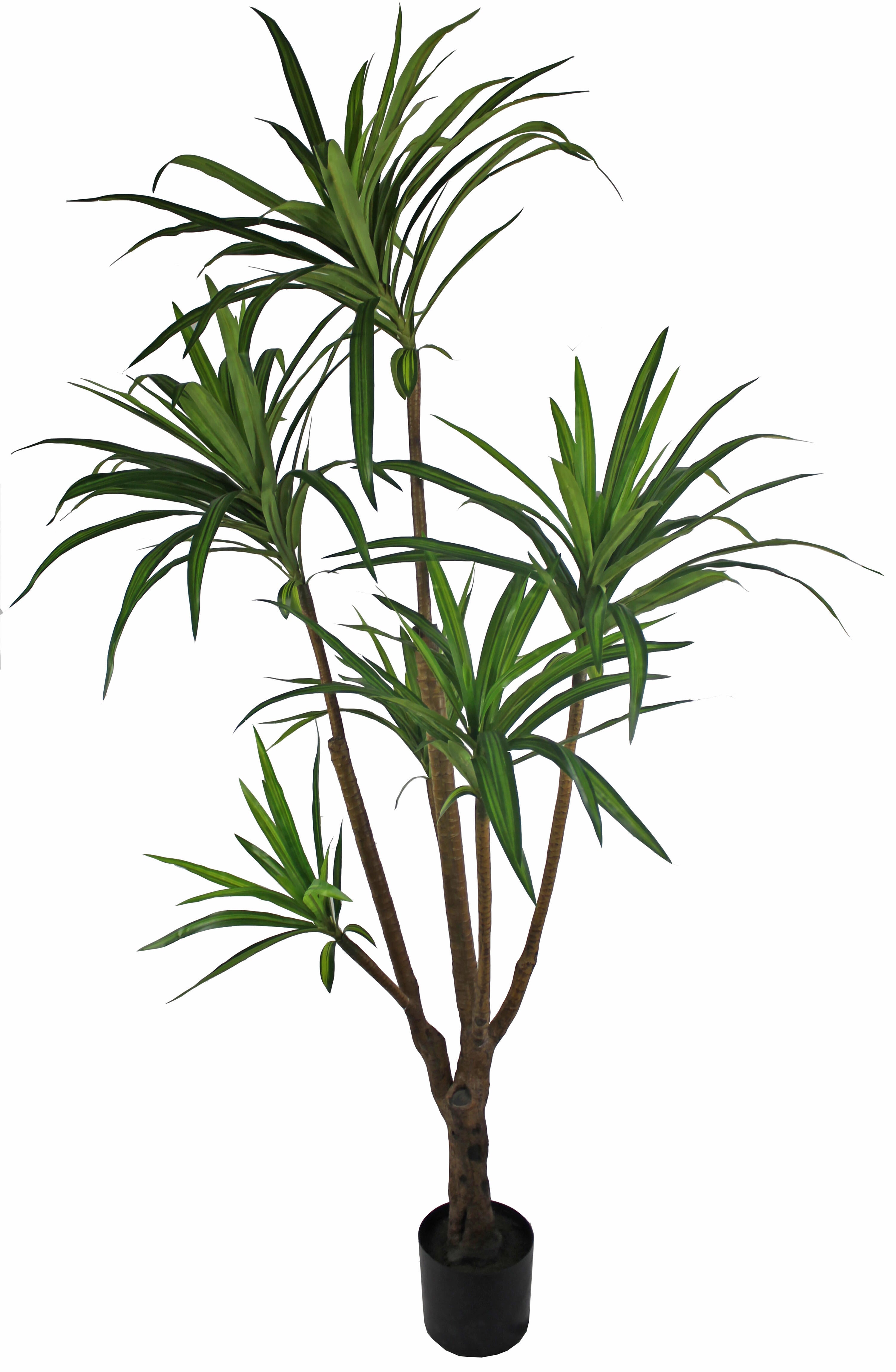 Árbol artificial dracena de 200 cm de altura en maceta de 20 cm