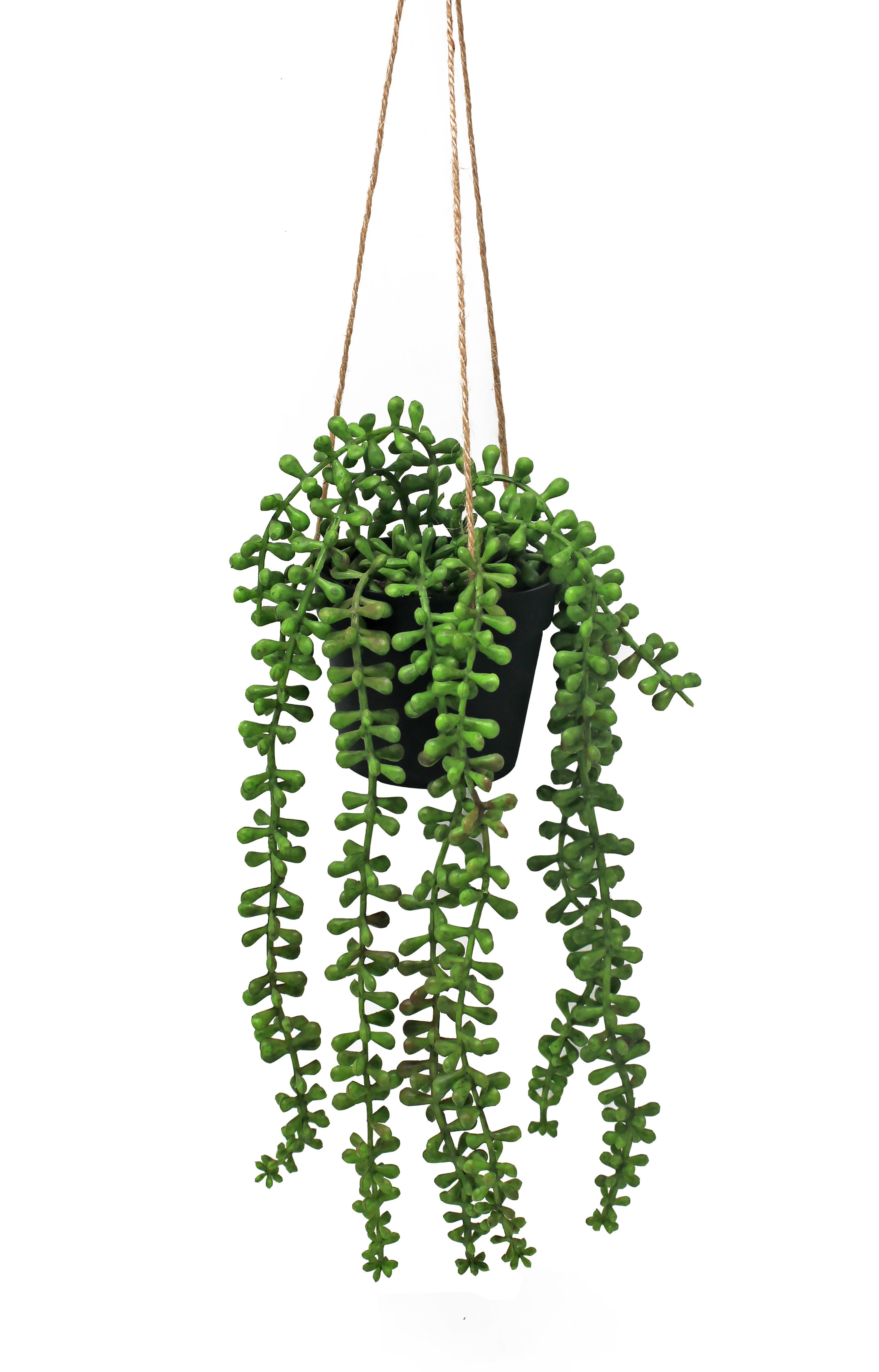 Planta artificial colgante suculenta de 32 cm de altura en maceta de 13 cm