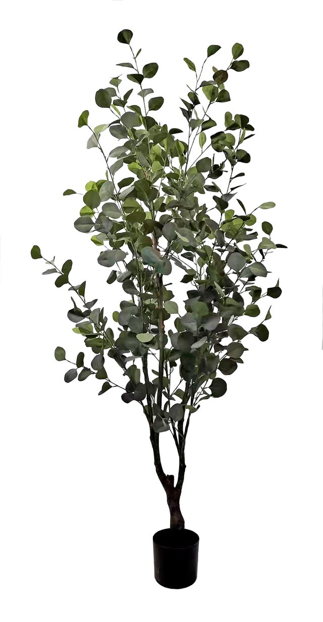 Planta artificial 175x80 cm Eucalipto